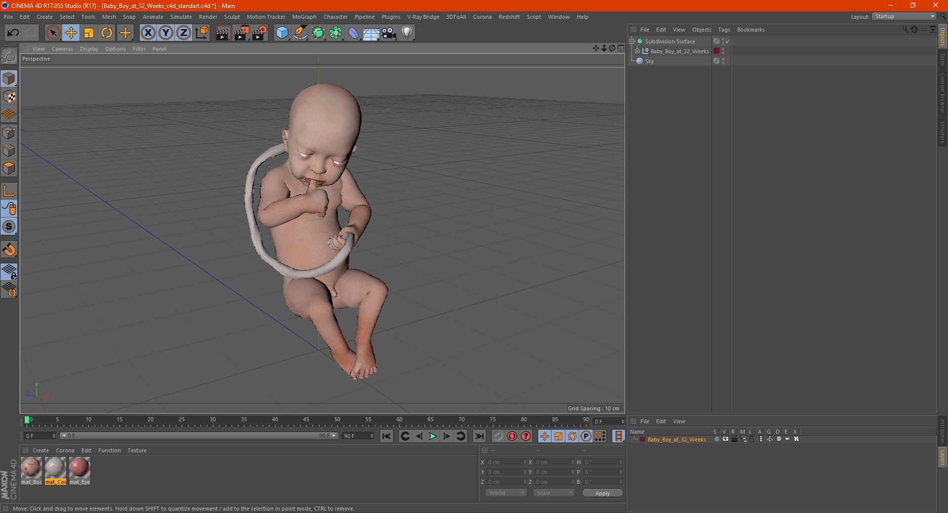 3D model Baby Boy at 32 Weeks