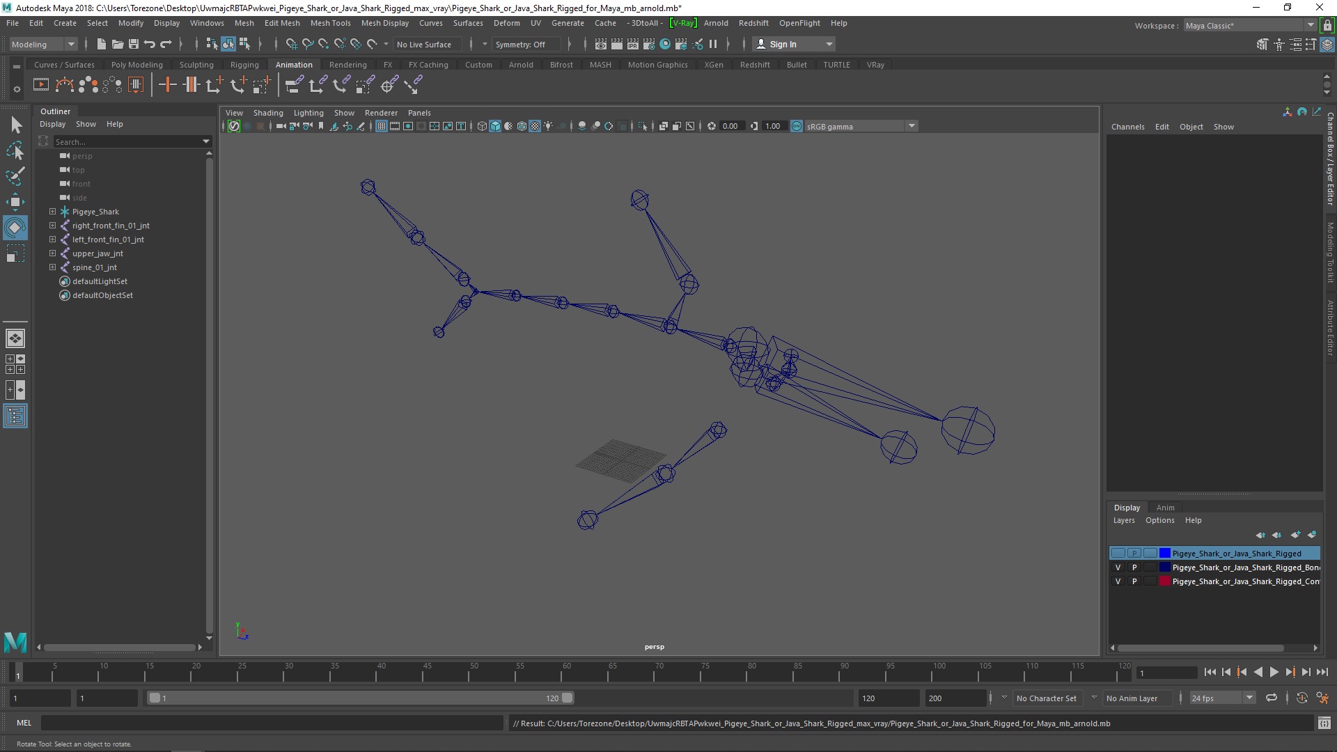 Pigeye Shark or Java Shark Rigged for Maya 3D