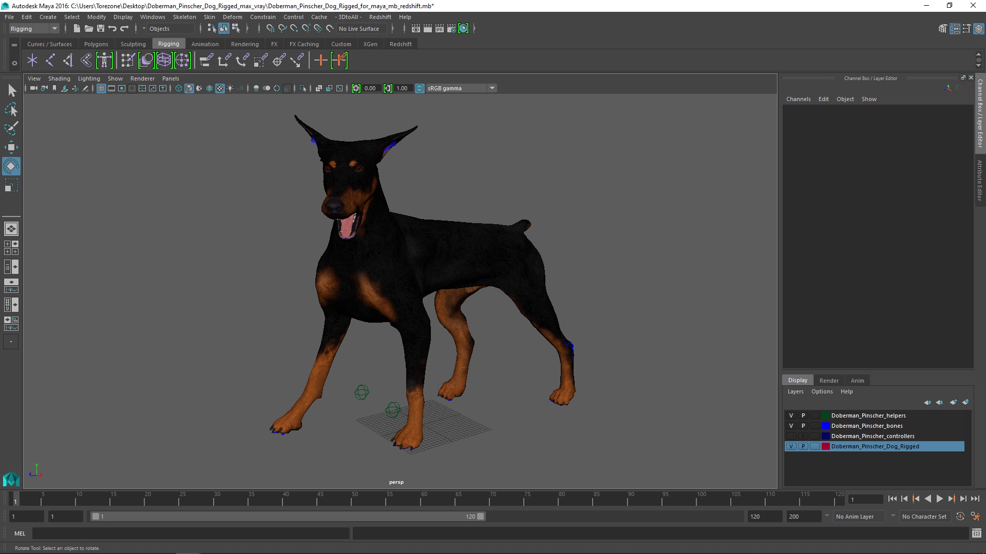 Doberman Pinscher Dog Rigged for Maya 3D