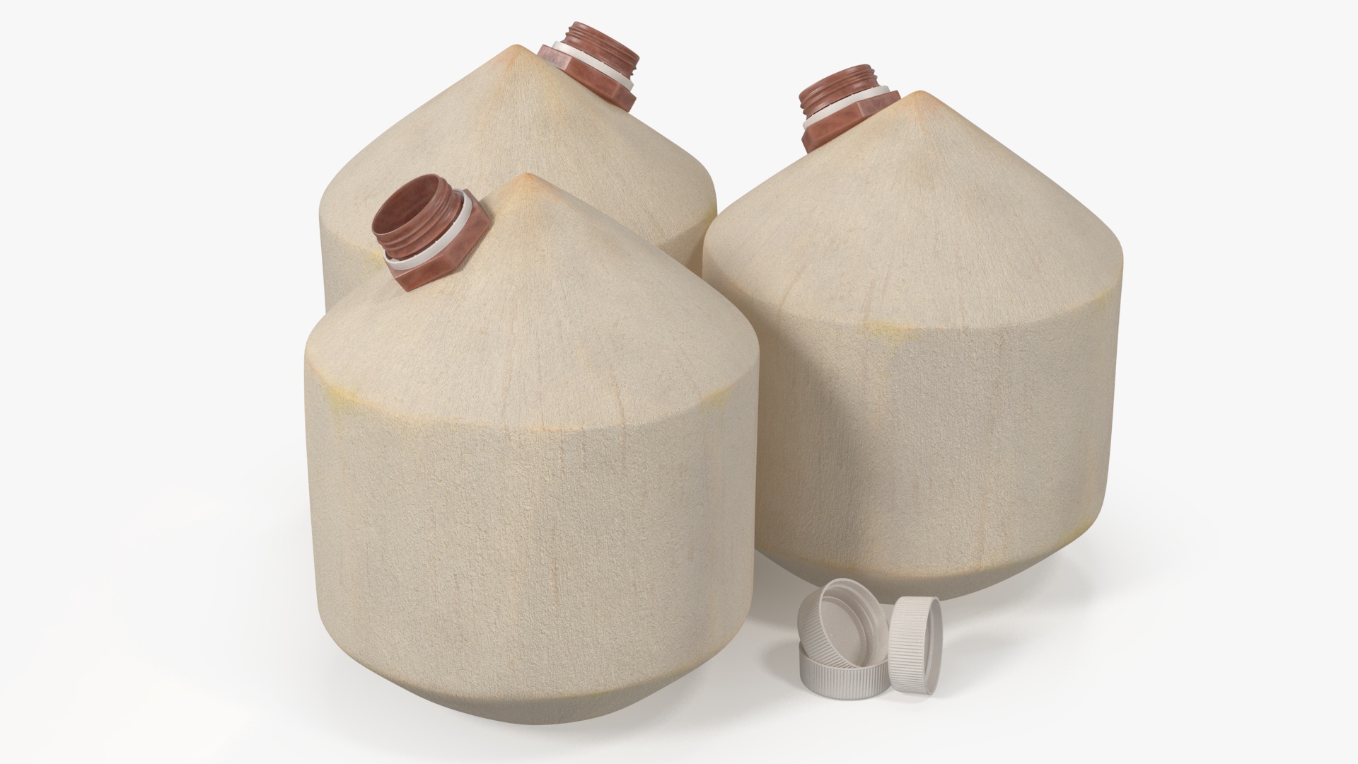 3D Young Shelled Tapped Coconut model