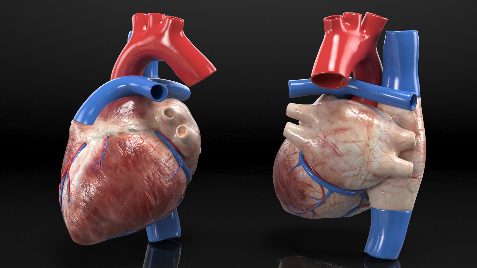 Boy Heart 3D model