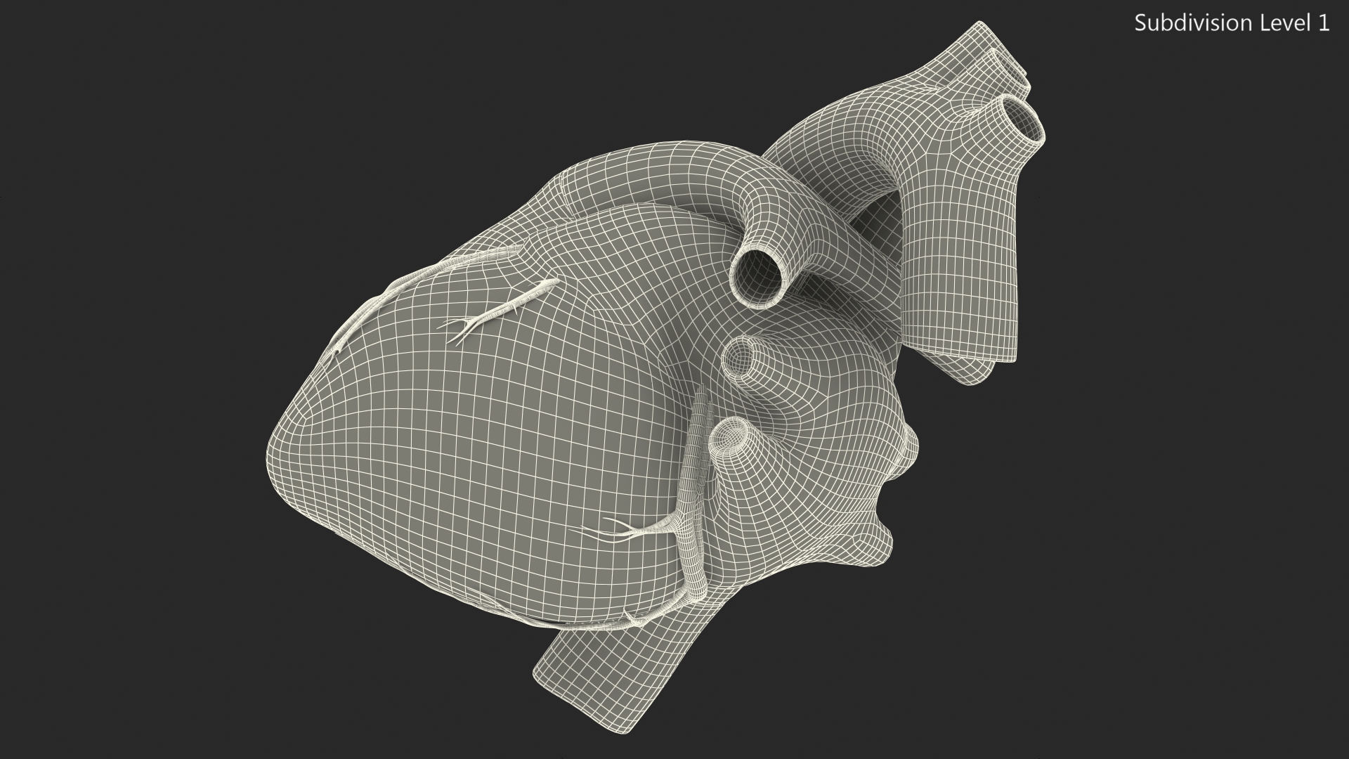 Boy Heart 3D model