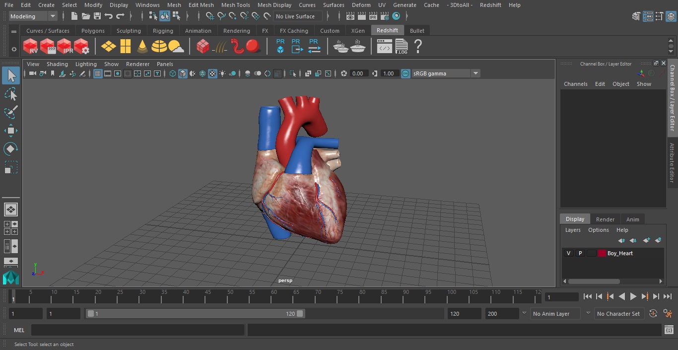 Boy Heart 3D model