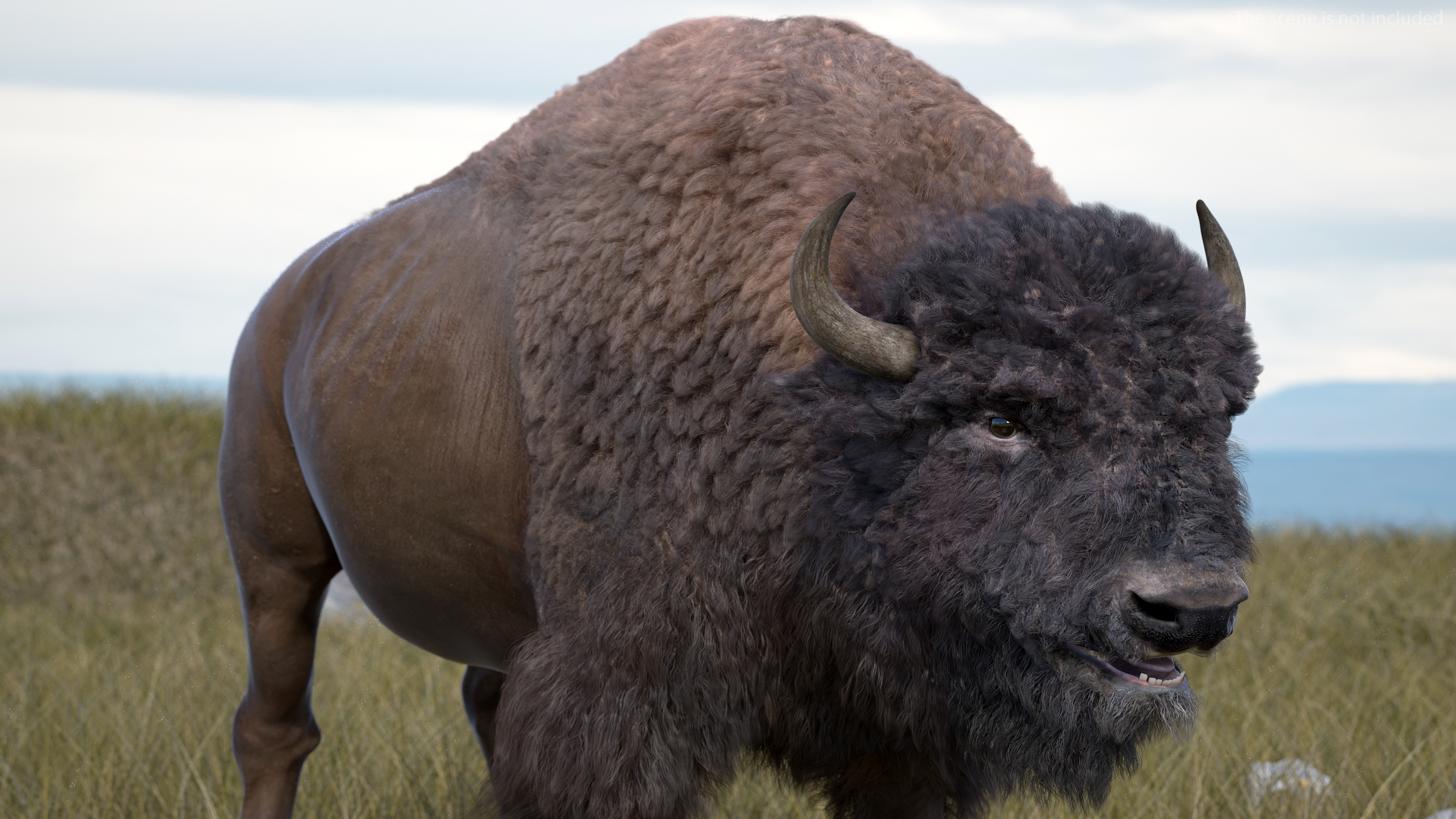 3D model American Bison with Fur Rigged