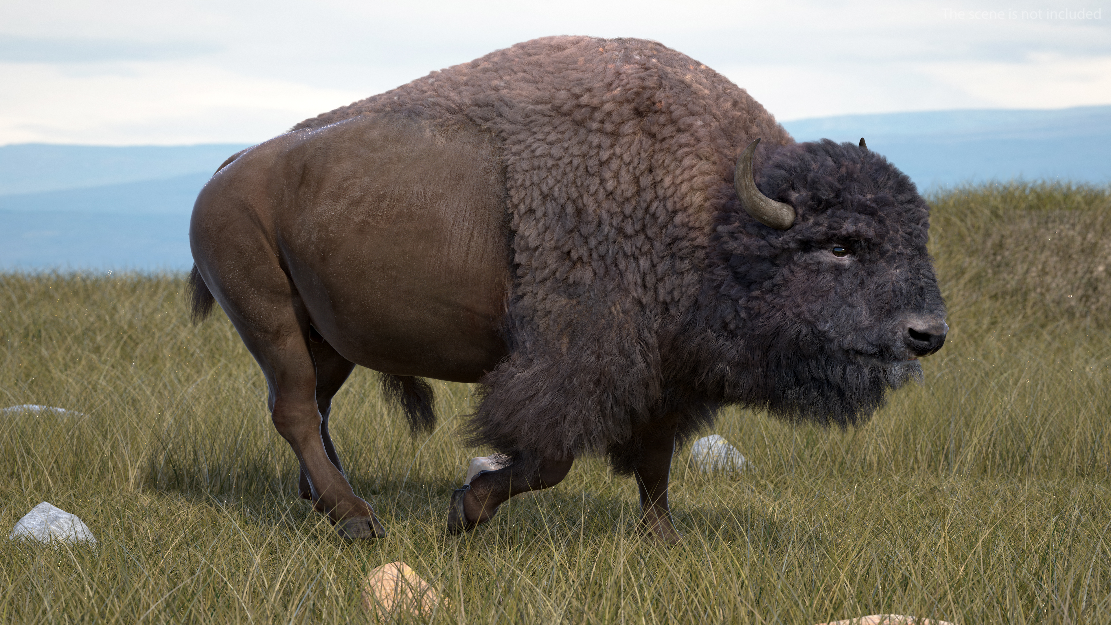 3D model American Bison with Fur Rigged