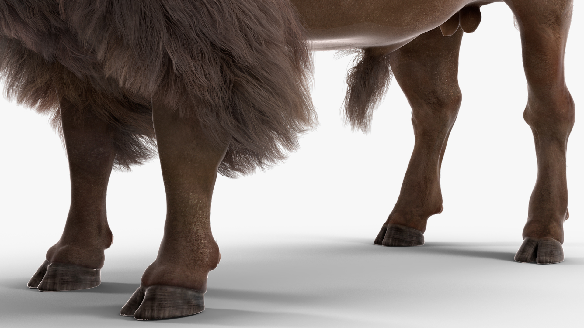 3D model American Bison with Fur Rigged