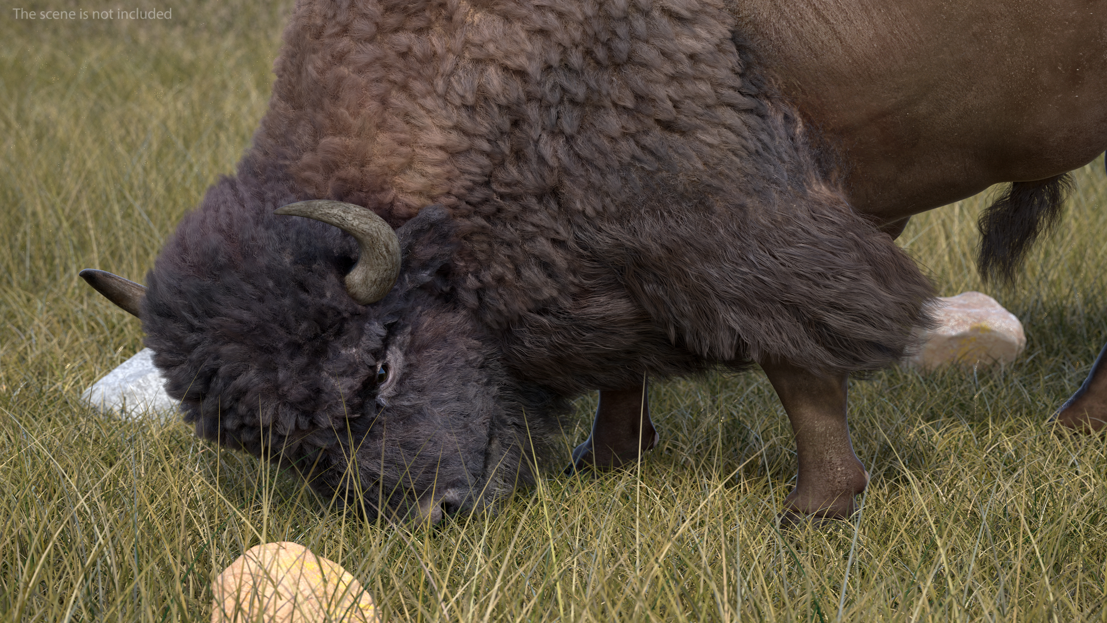 3D model American Bison with Fur Rigged