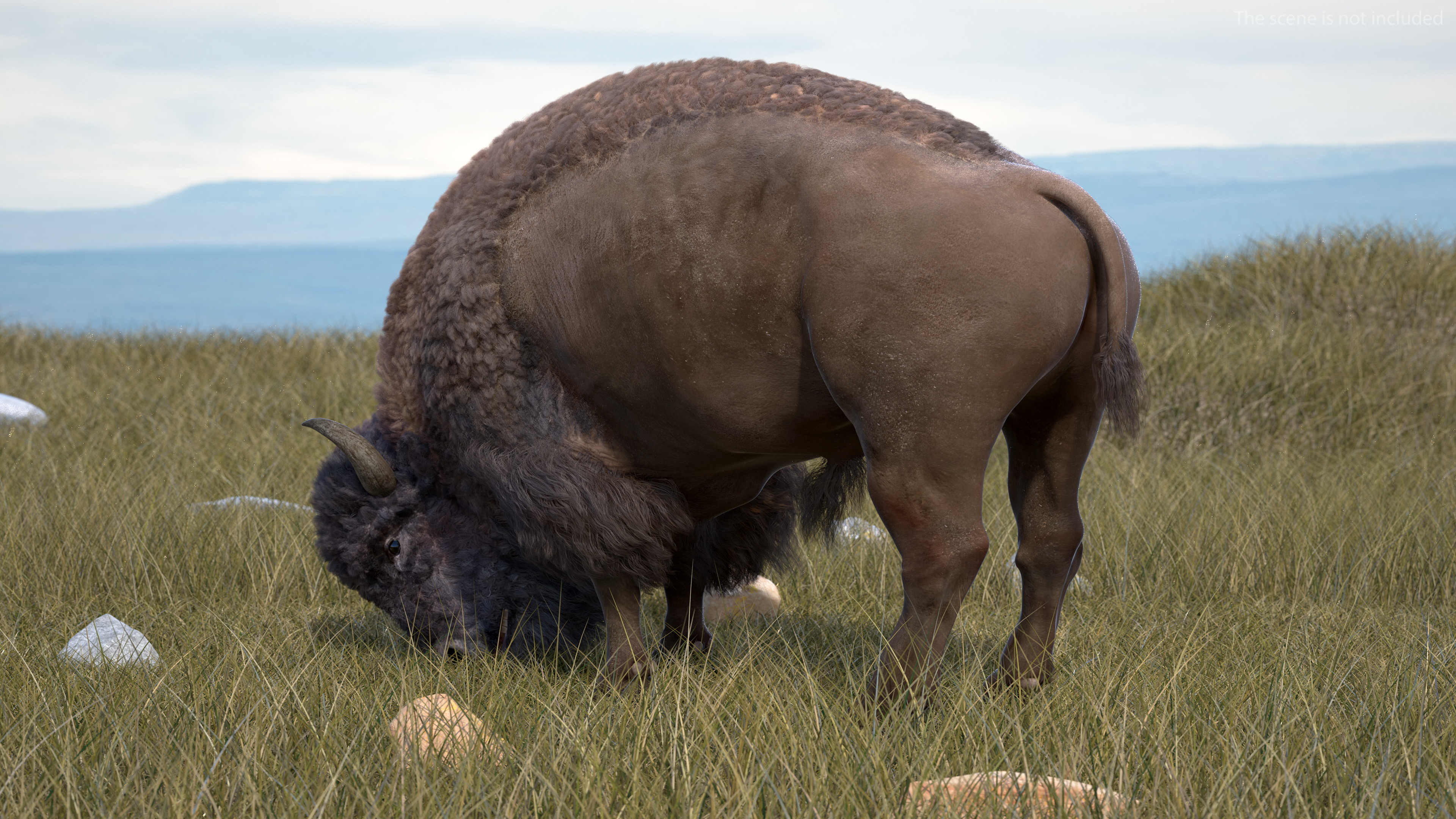 3D model American Bison with Fur Rigged