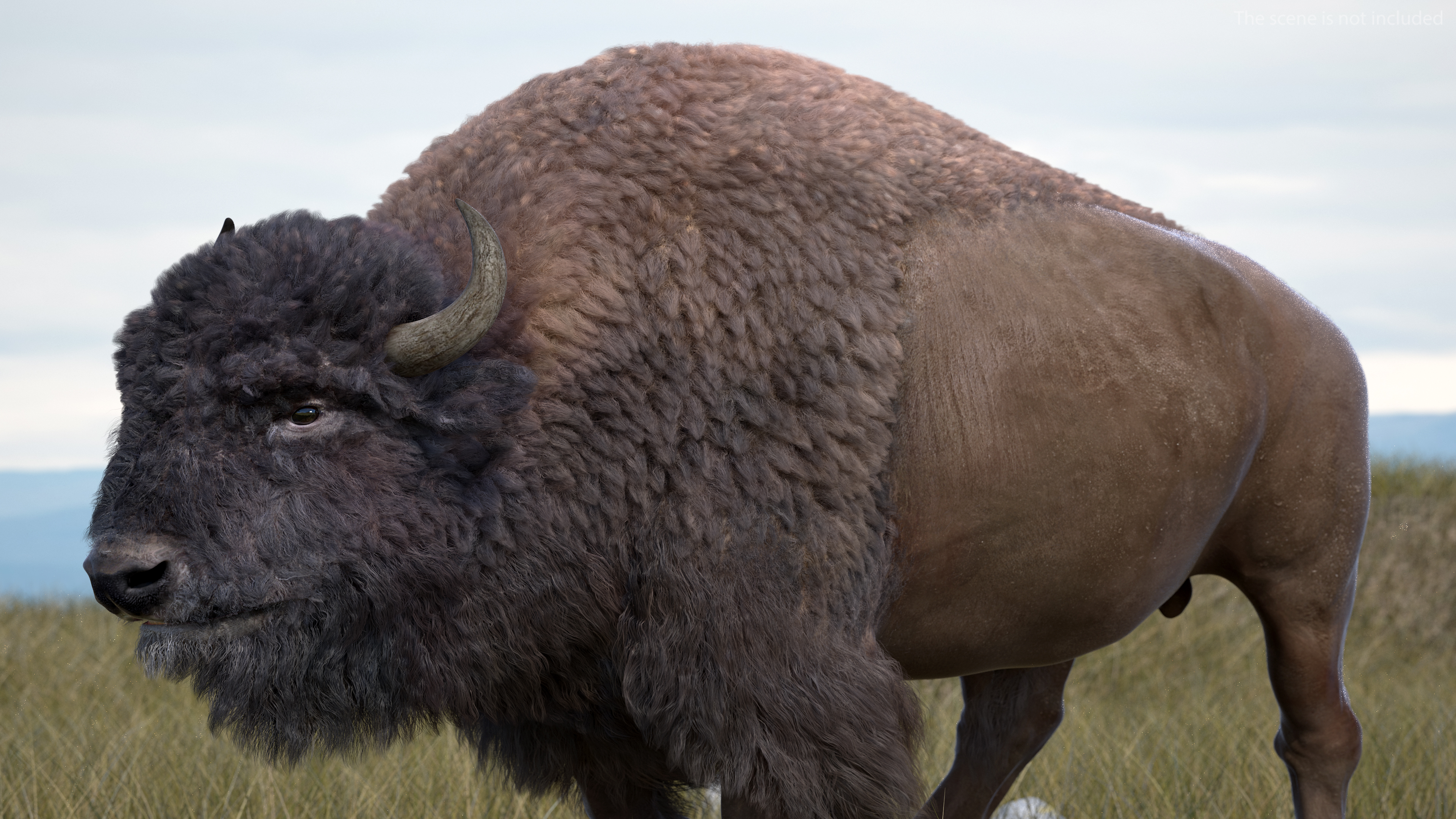 3D model American Bison with Fur Rigged