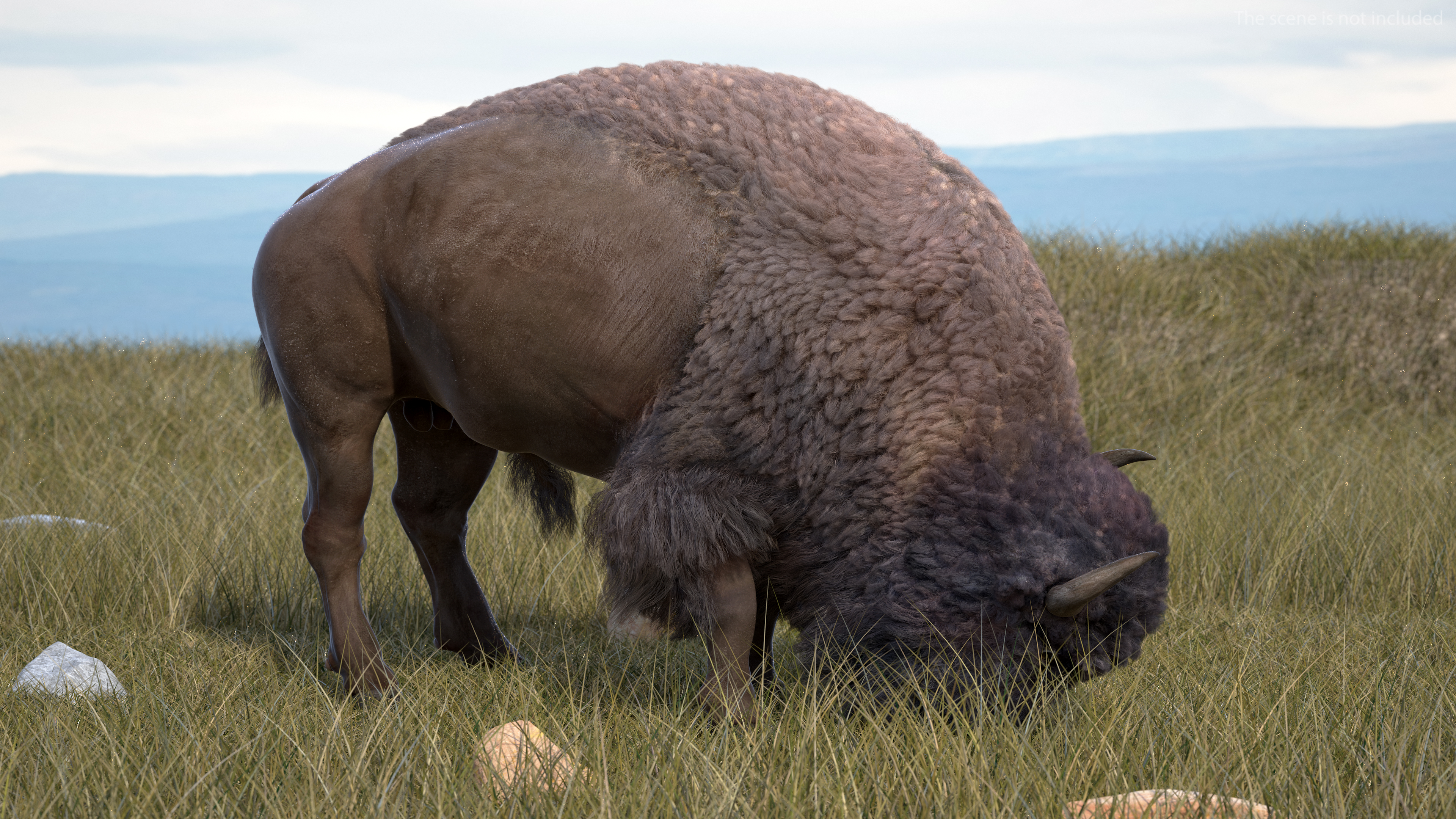 3D model American Bison with Fur Rigged