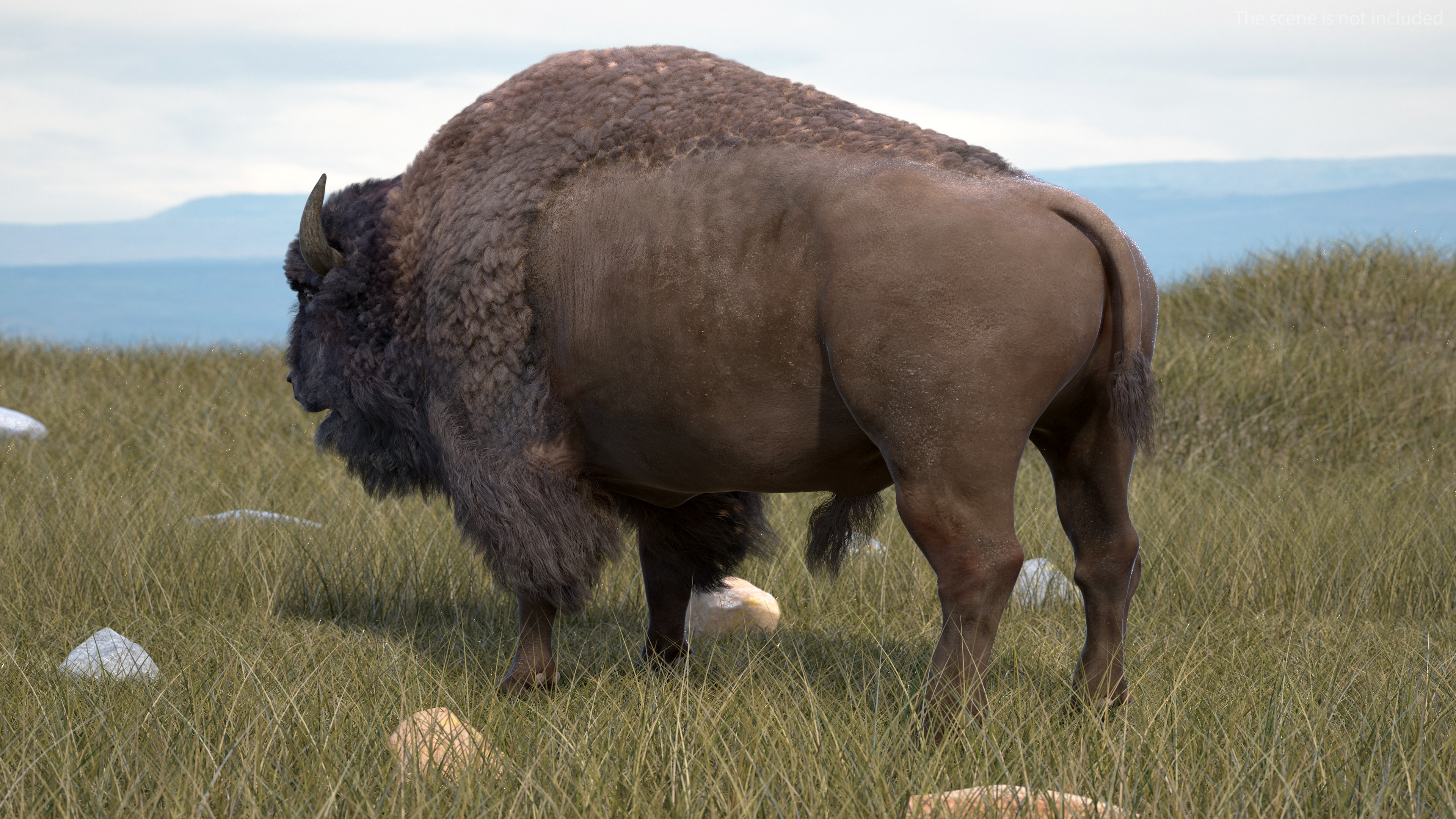 3D model American Bison with Fur Rigged