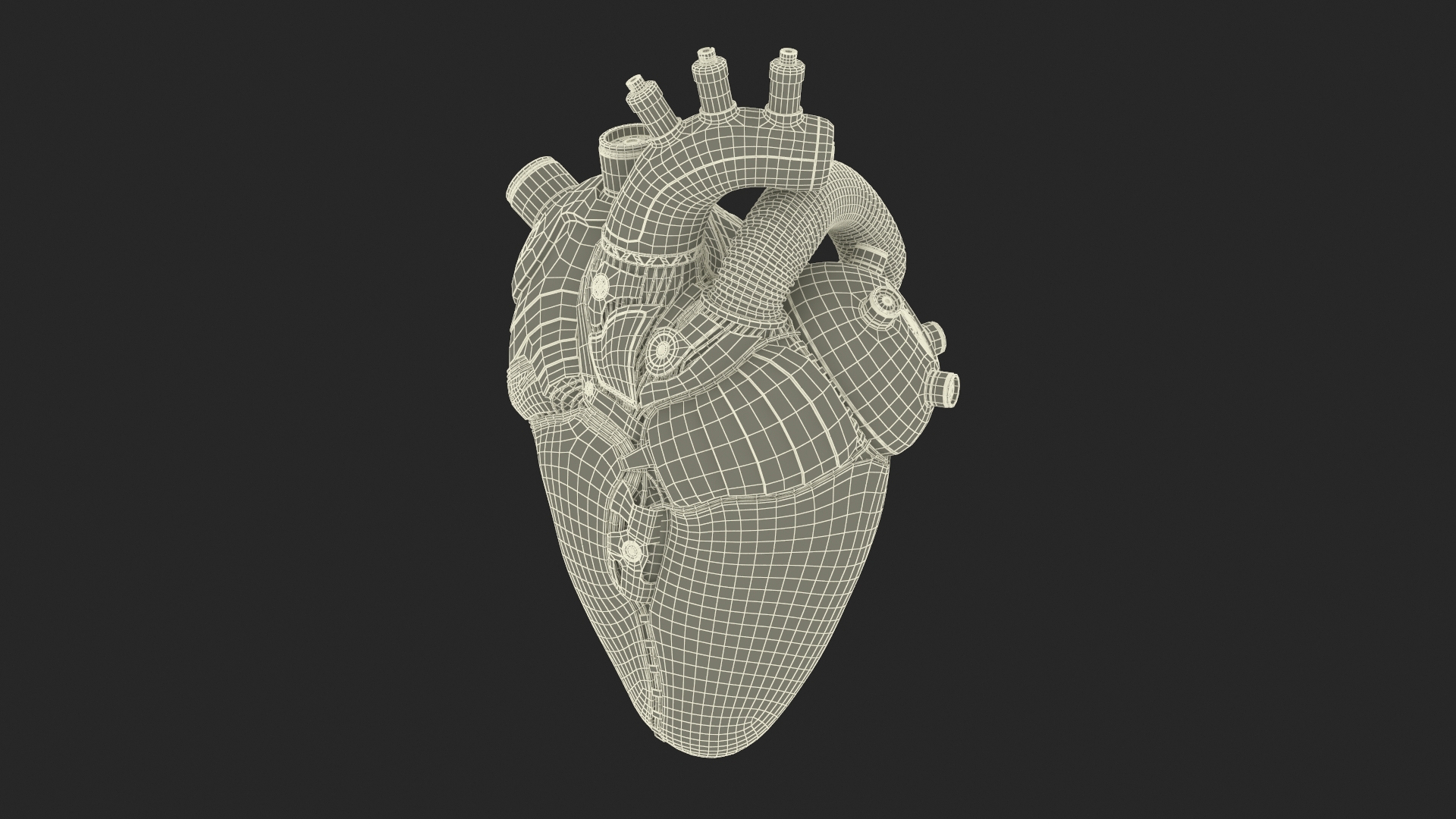 3D Bionic Robot Heart model