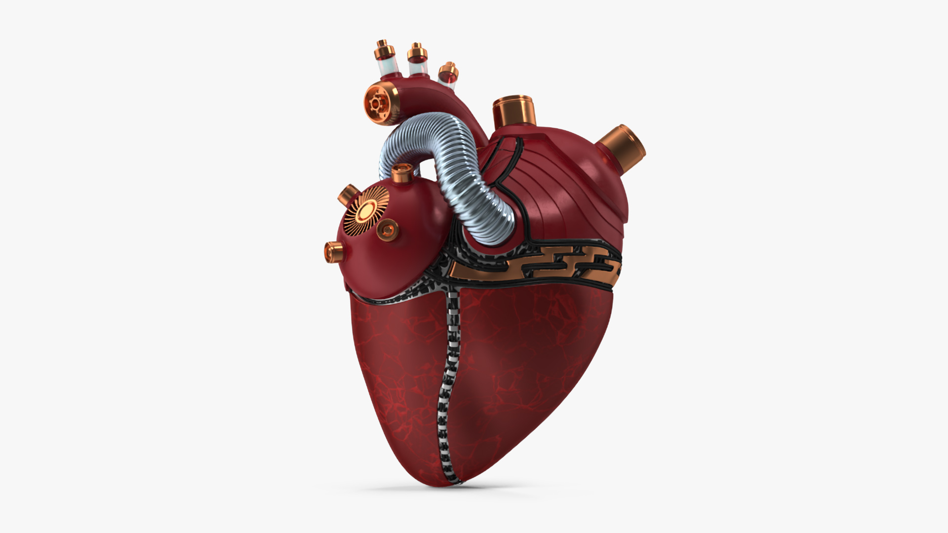 3D Bionic Robot Heart model