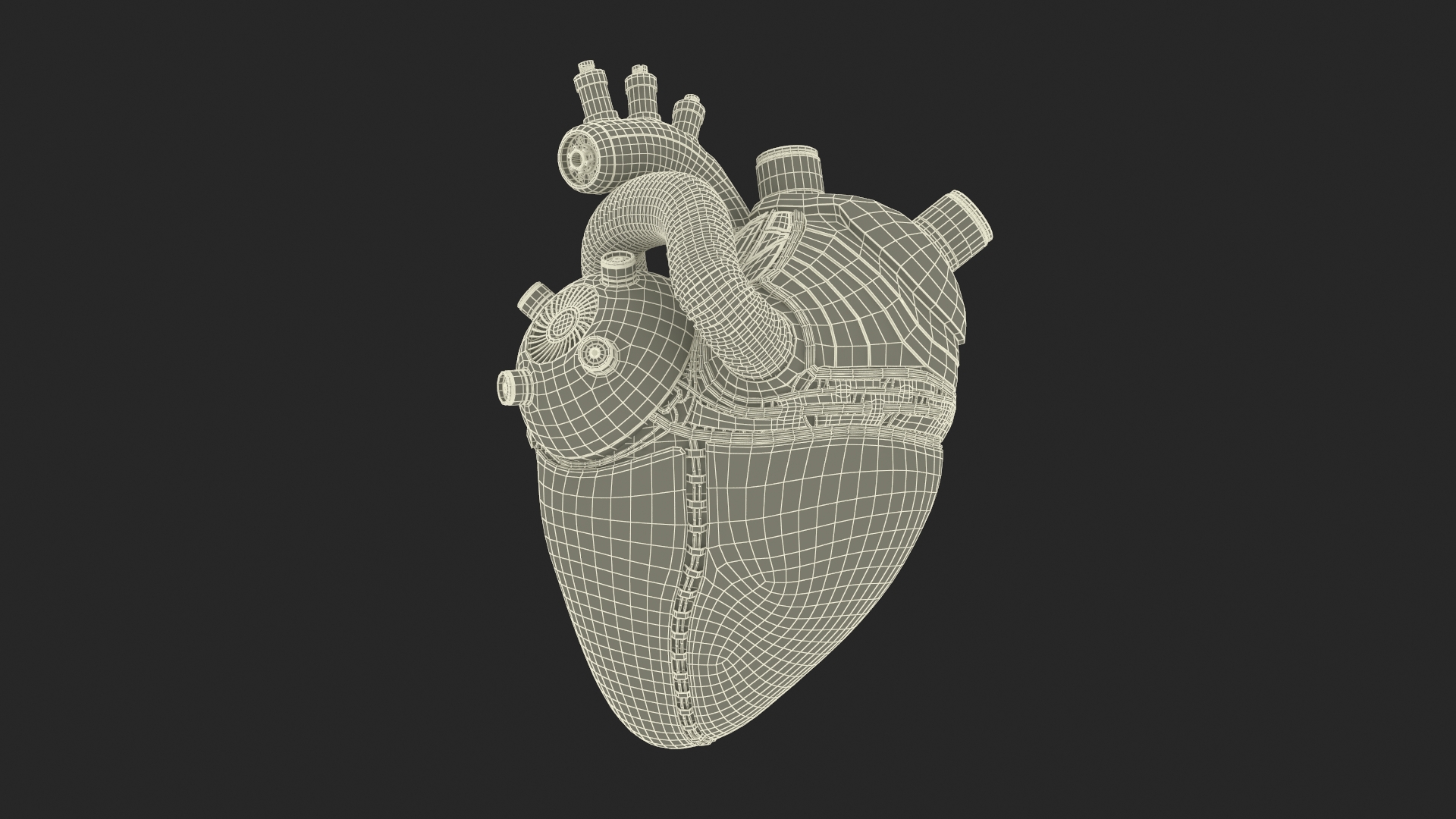 3D Bionic Robot Heart model