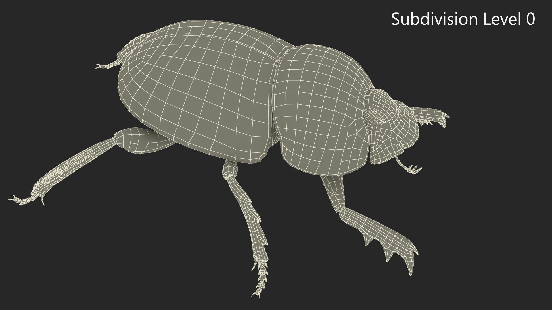 3D model Dung Roller Fur