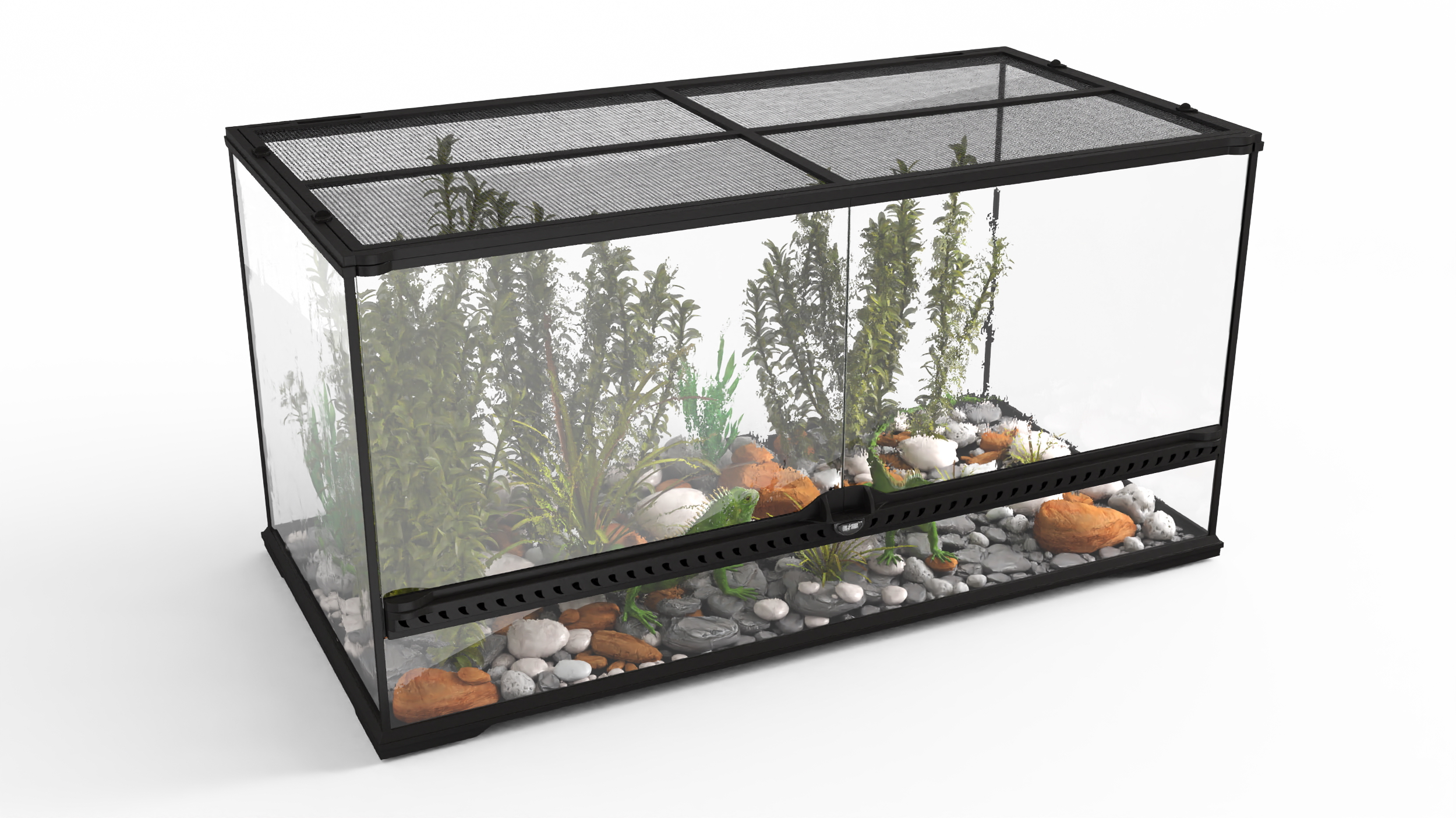 3D model Exotic Animals Long Terrarium with Pair of Iguanas