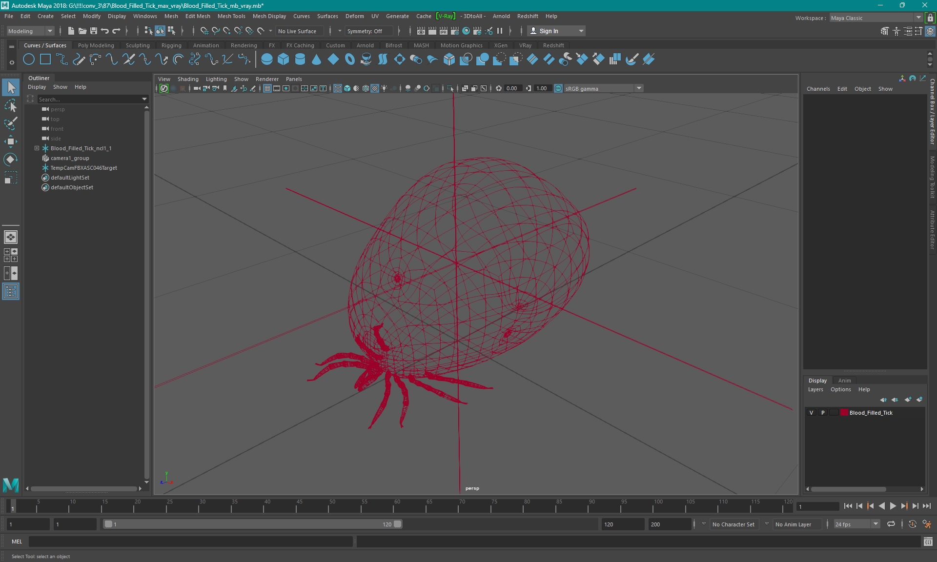 Blood Filled Tick 3D