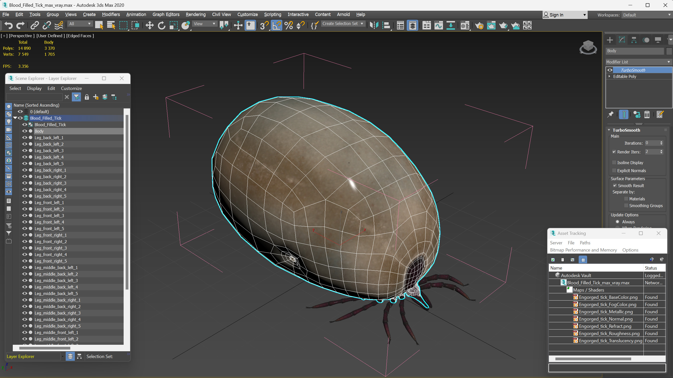 Blood Filled Tick 3D