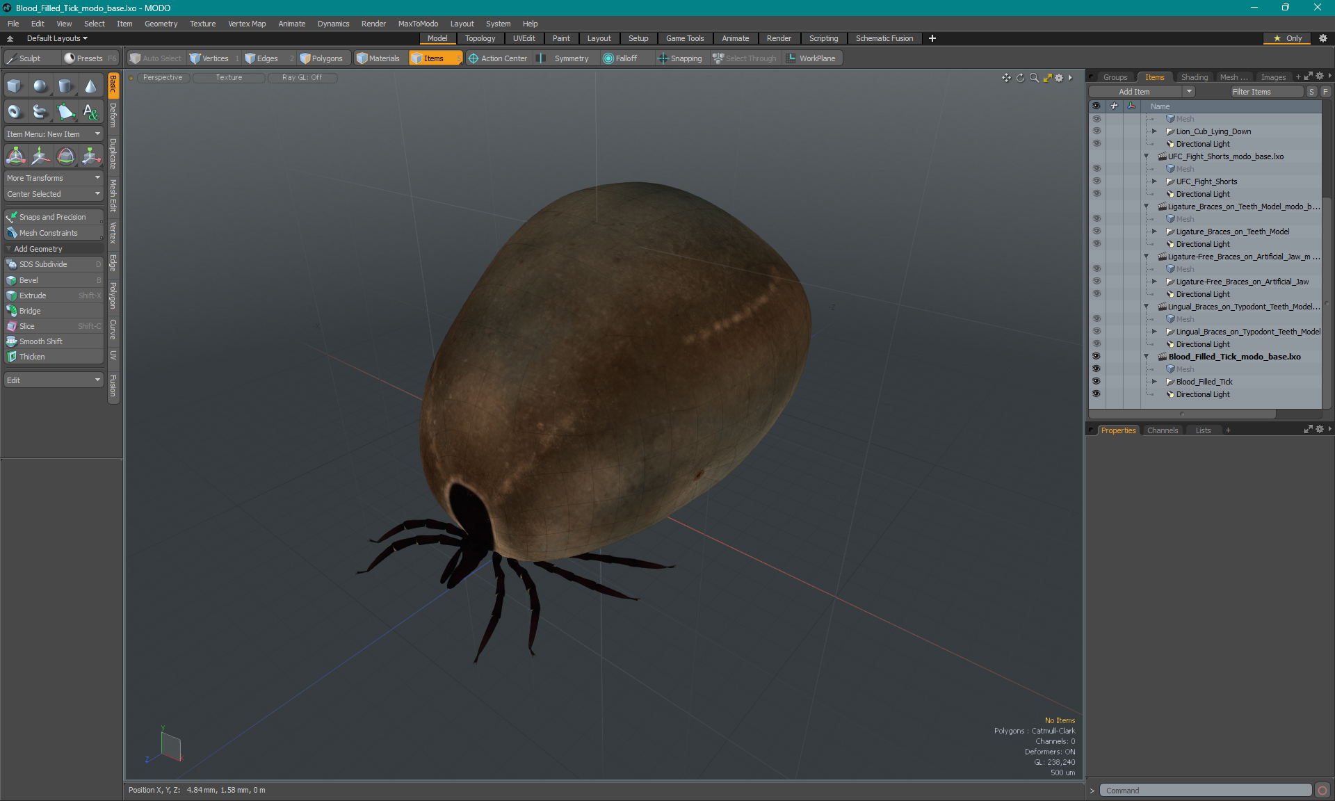 Blood Filled Tick 3D