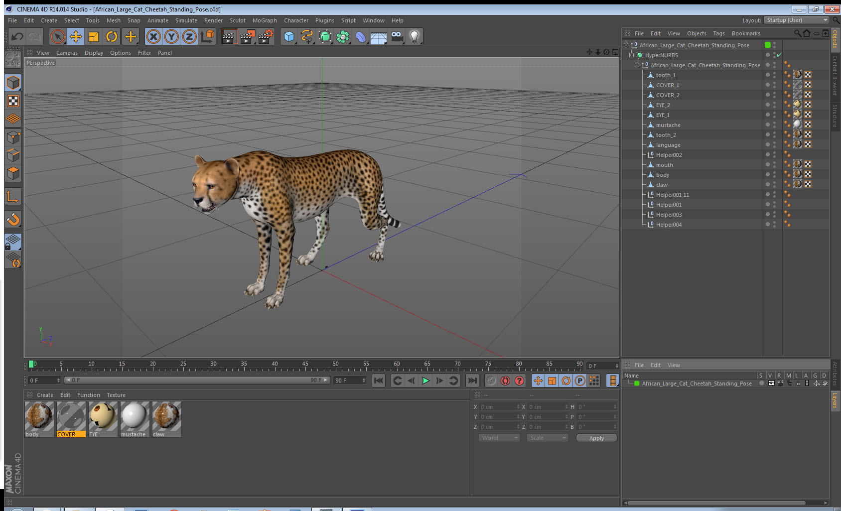 African Large Cat Cheetah Standing Pose 3D model