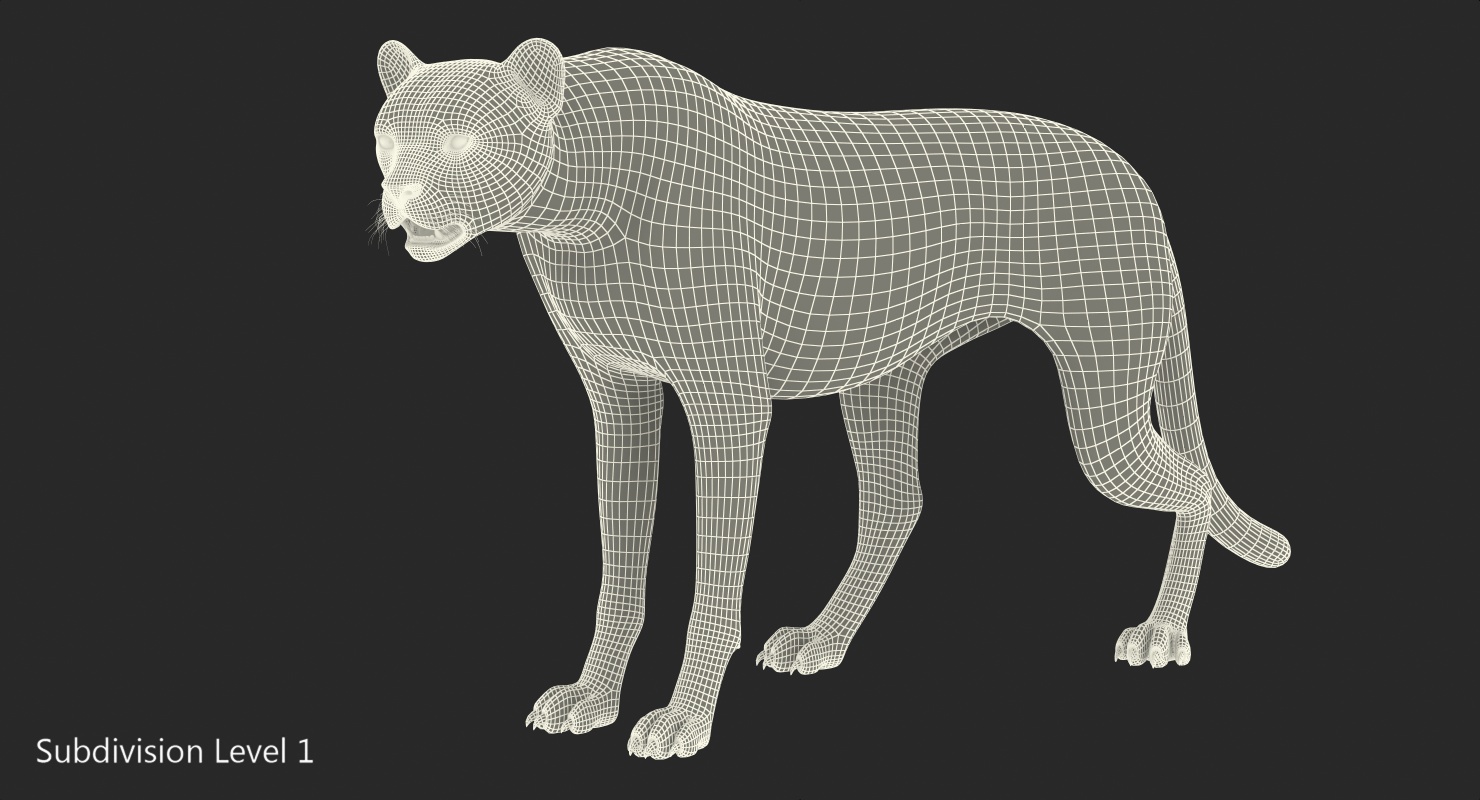 African Large Cat Cheetah Standing Pose 3D model