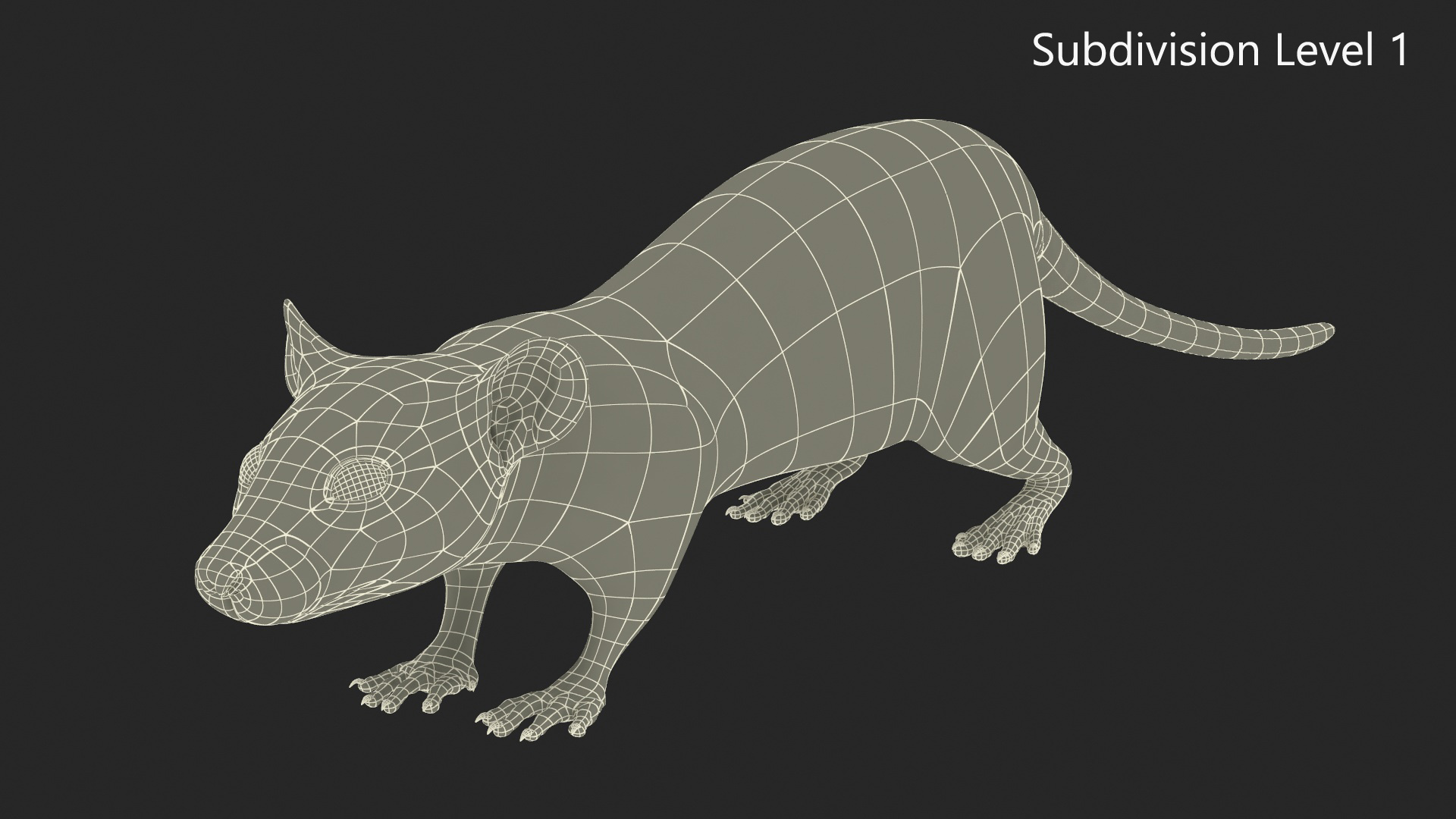 3D Common Rat Rigged Fur