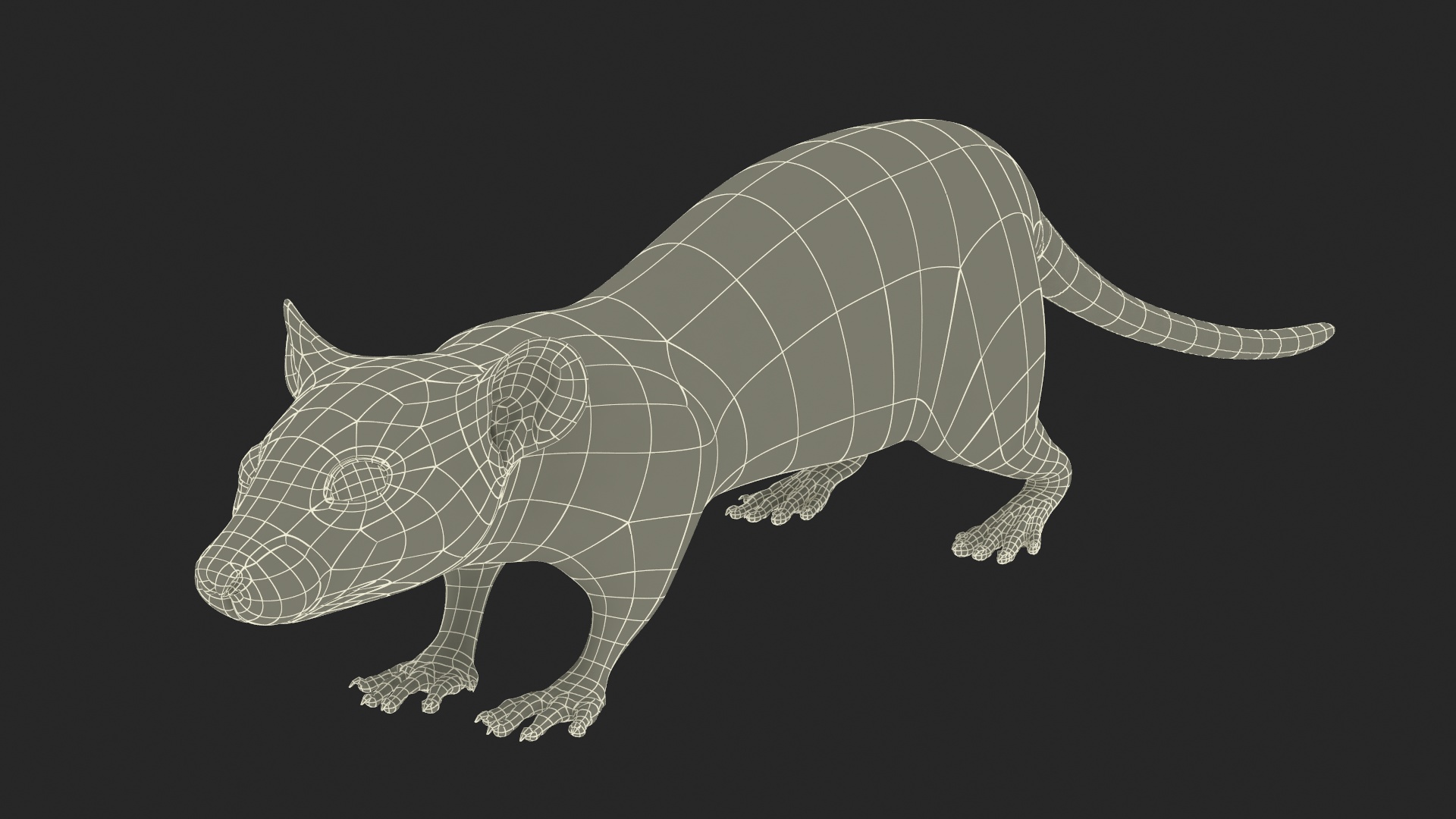 3D Common Rat Rigged Fur