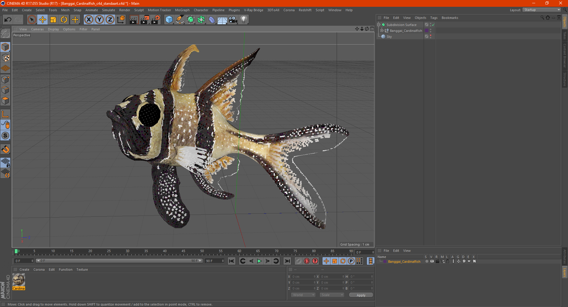 3D model Banggai Cardinalfish