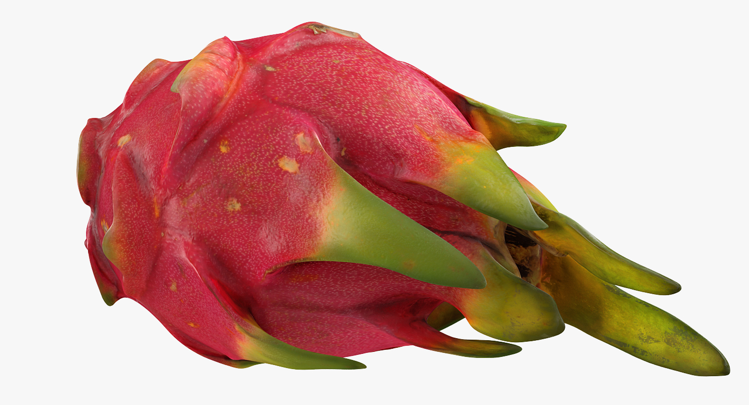 Whole Red Dragon Fruit 3D