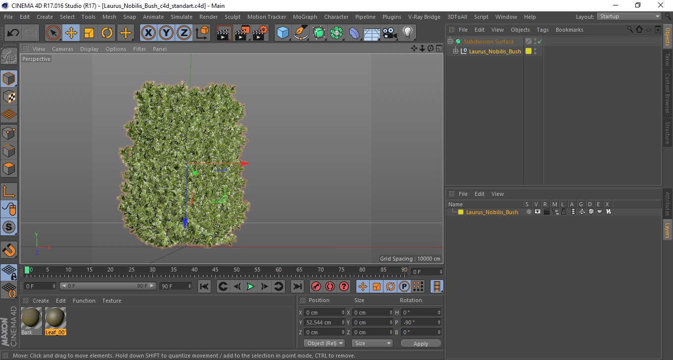 Laurus Nobilis Bush 3D model