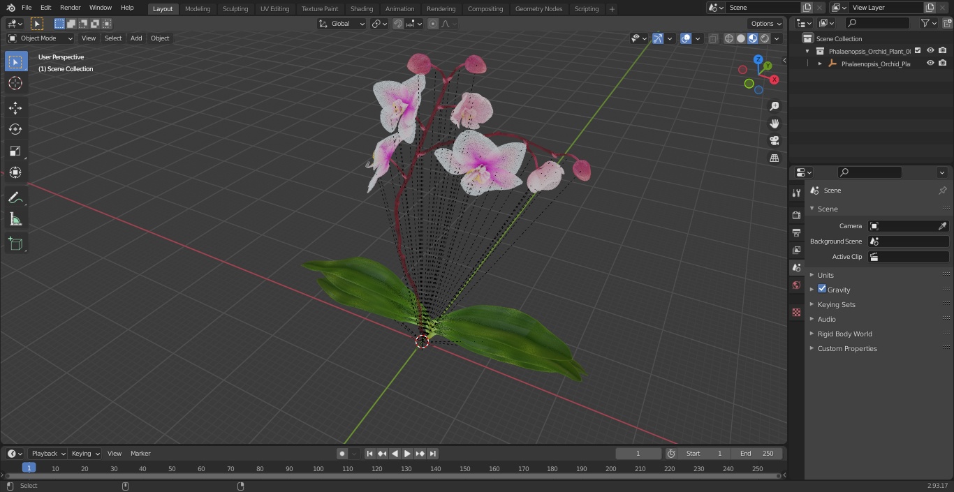 3D model Phalaenopsis Orchid Plant