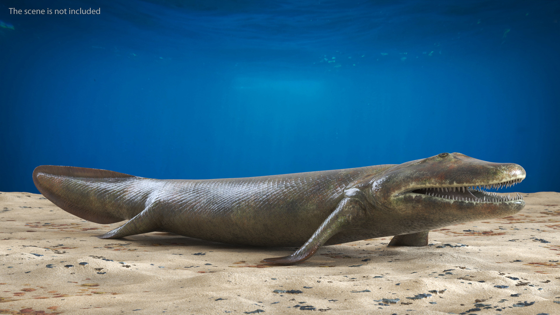 Tiktaalik Extinct Sarcopterygian 3D