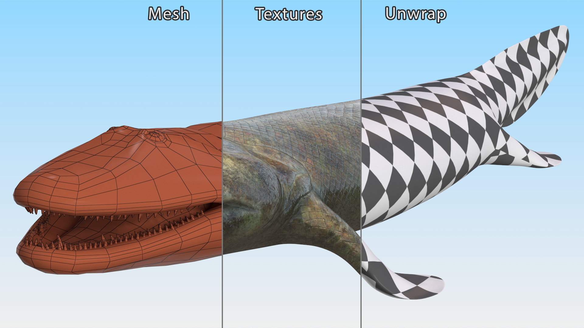 Tiktaalik Extinct Sarcopterygian 3D