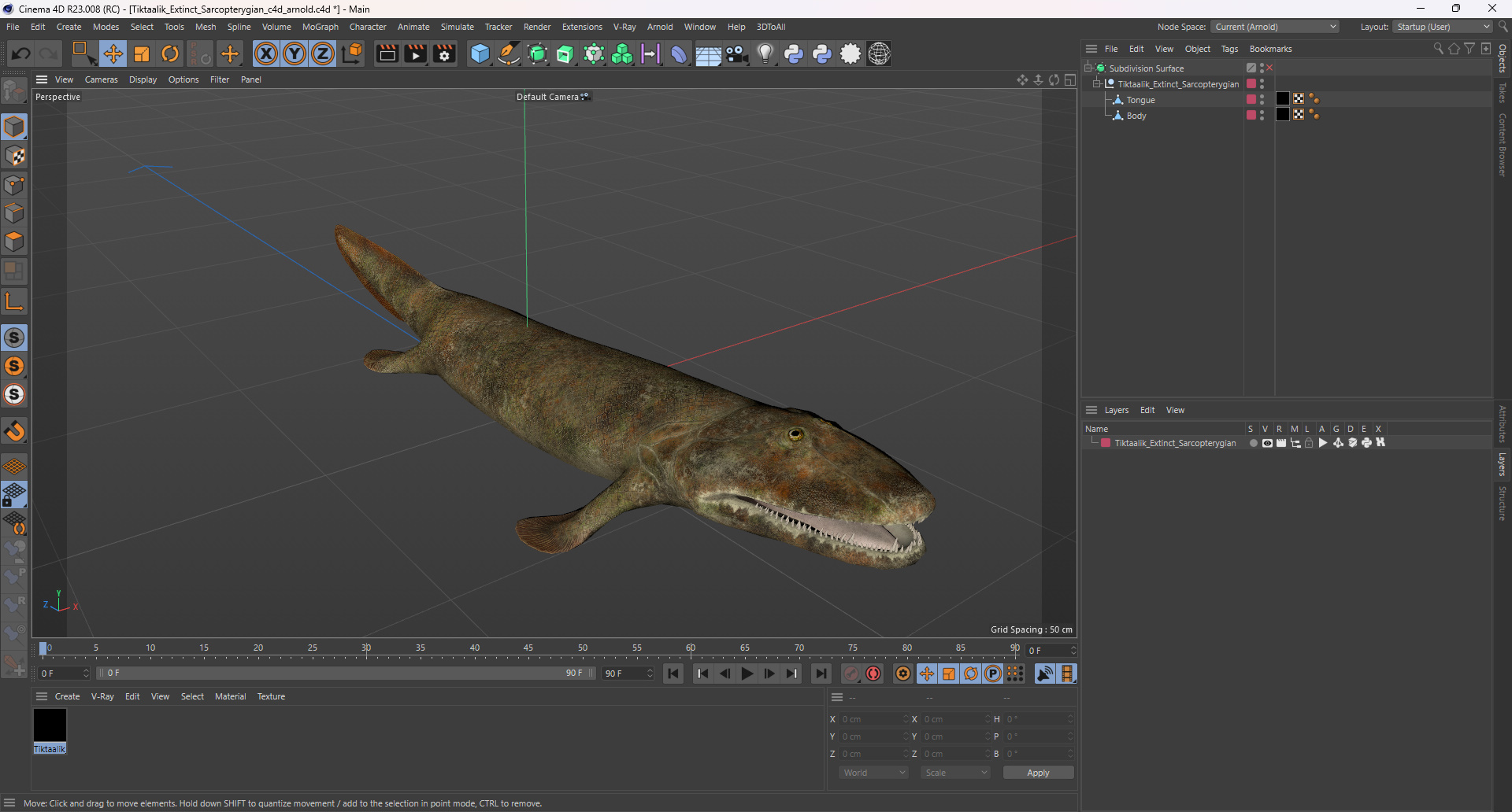 Tiktaalik Extinct Sarcopterygian 3D