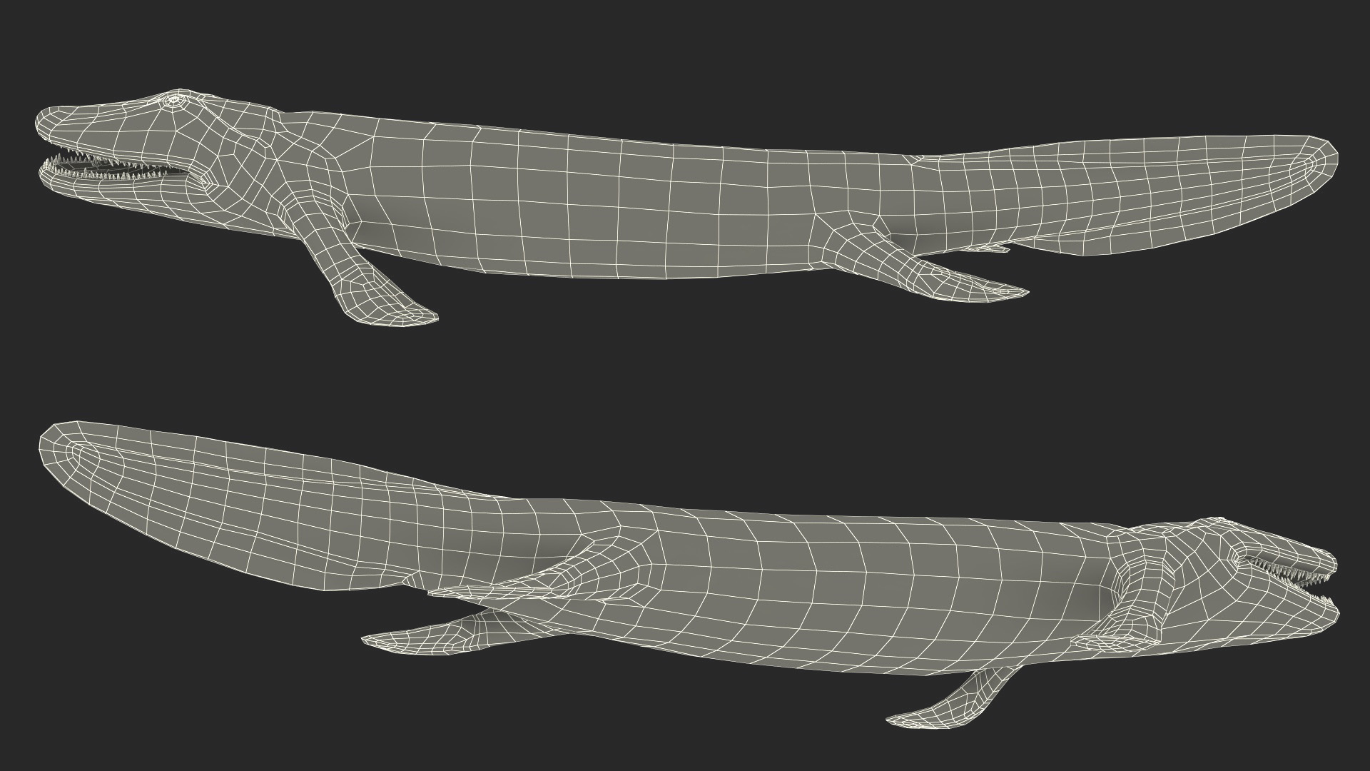 Tiktaalik Extinct Sarcopterygian 3D