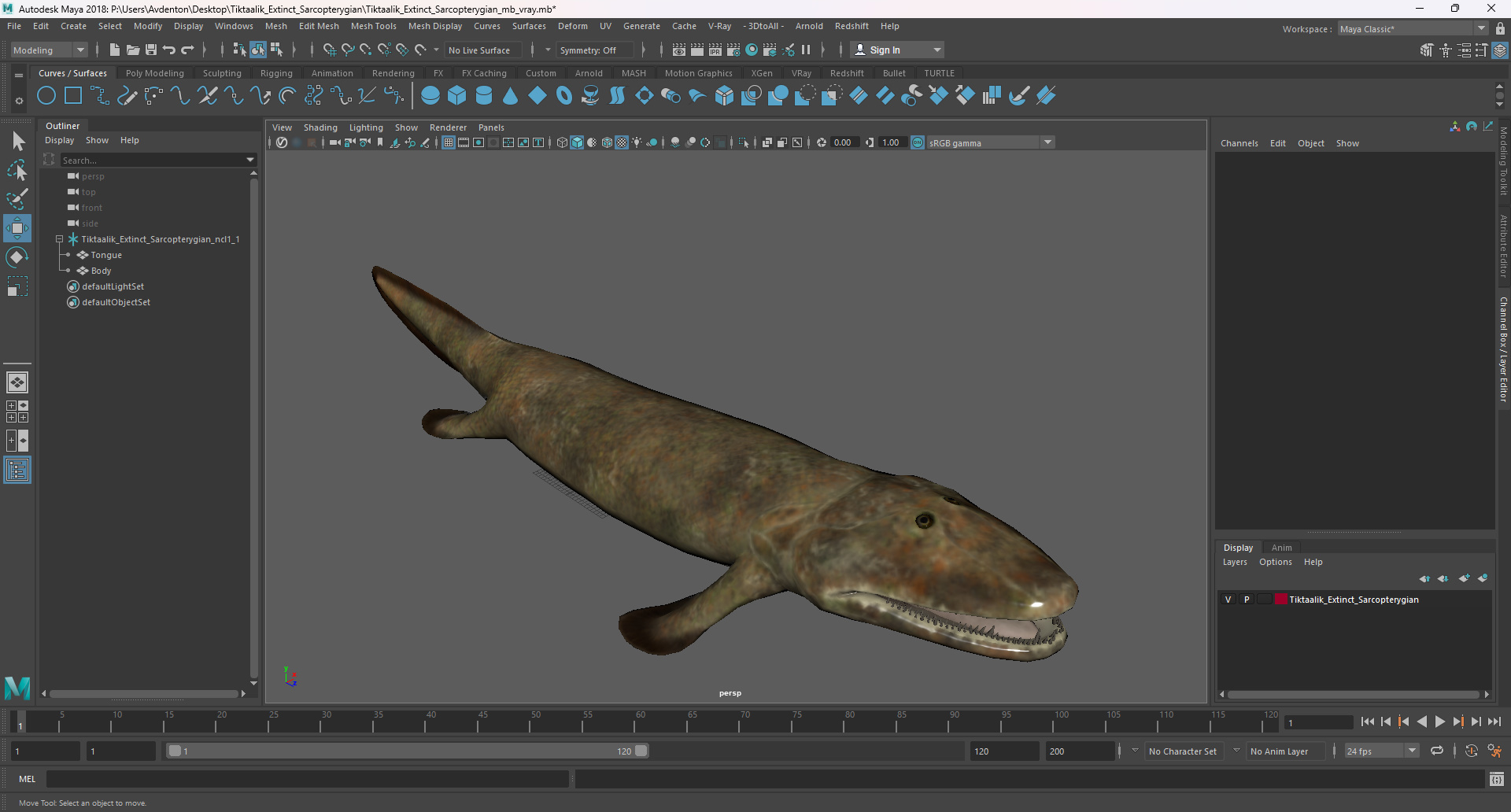 Tiktaalik Extinct Sarcopterygian 3D