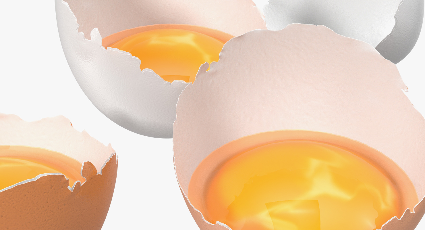 Broken Chicken Eggs 3D model