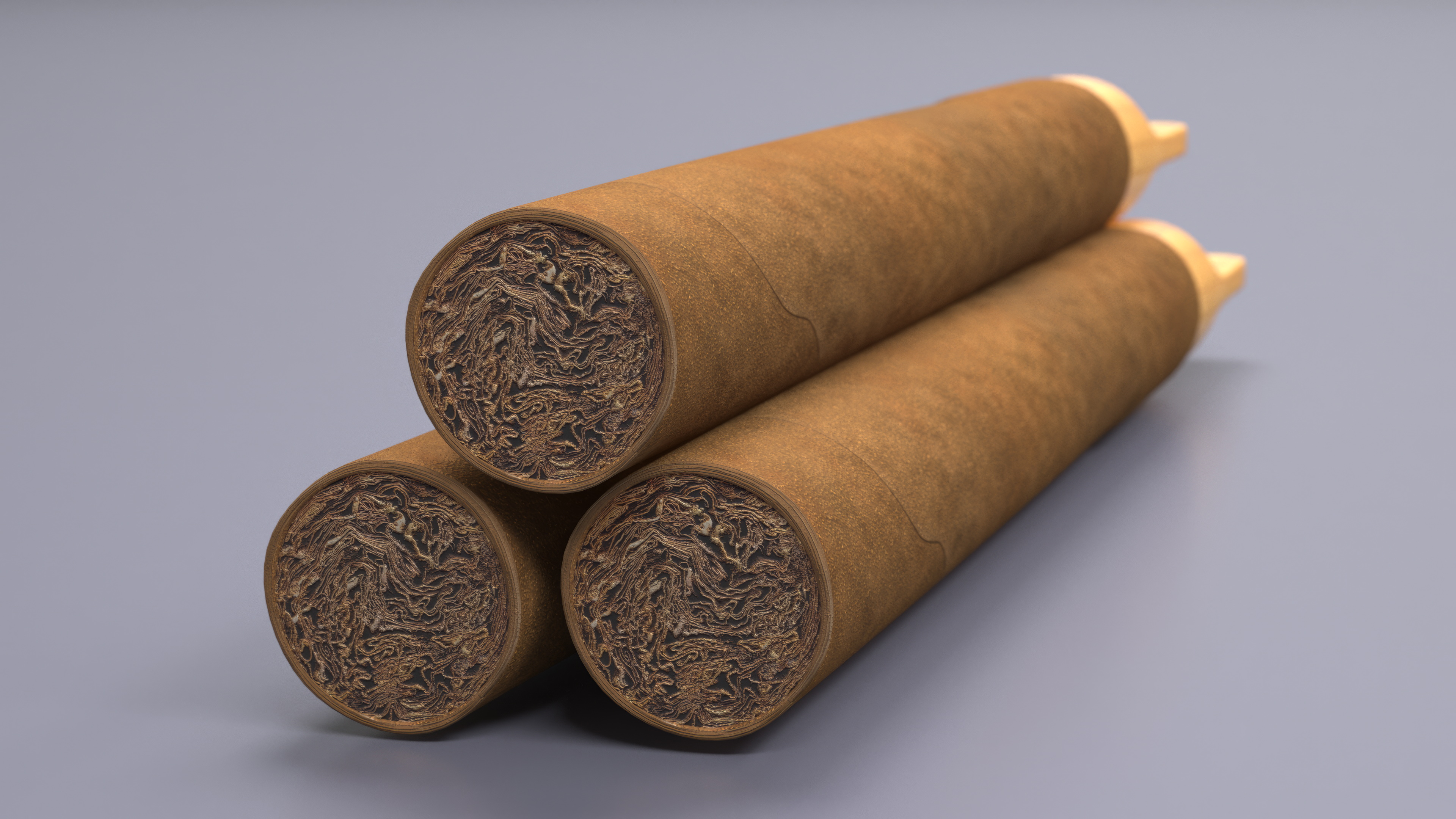 3D Cigar with Wooden Tip