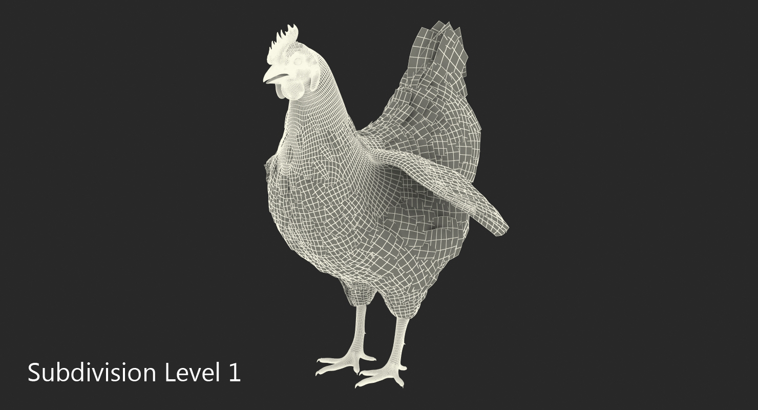 3D Brown Chicken model