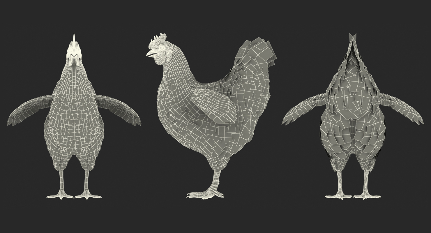 3D Brown Chicken model