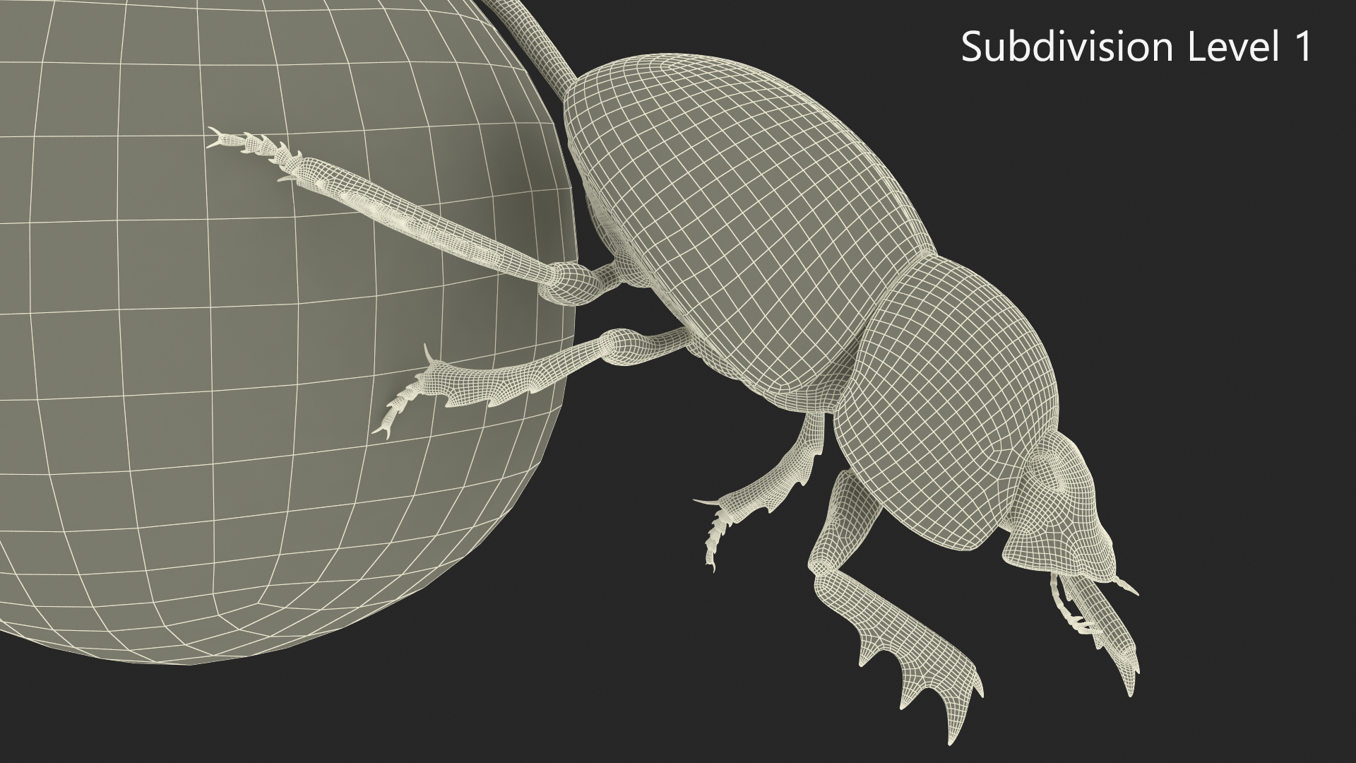 Mud Beetle Pushing Sphere Fur 3D model