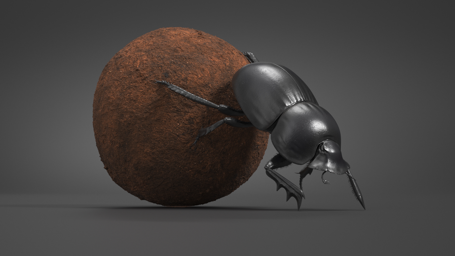 Mud Beetle Pushing Sphere Fur 3D model