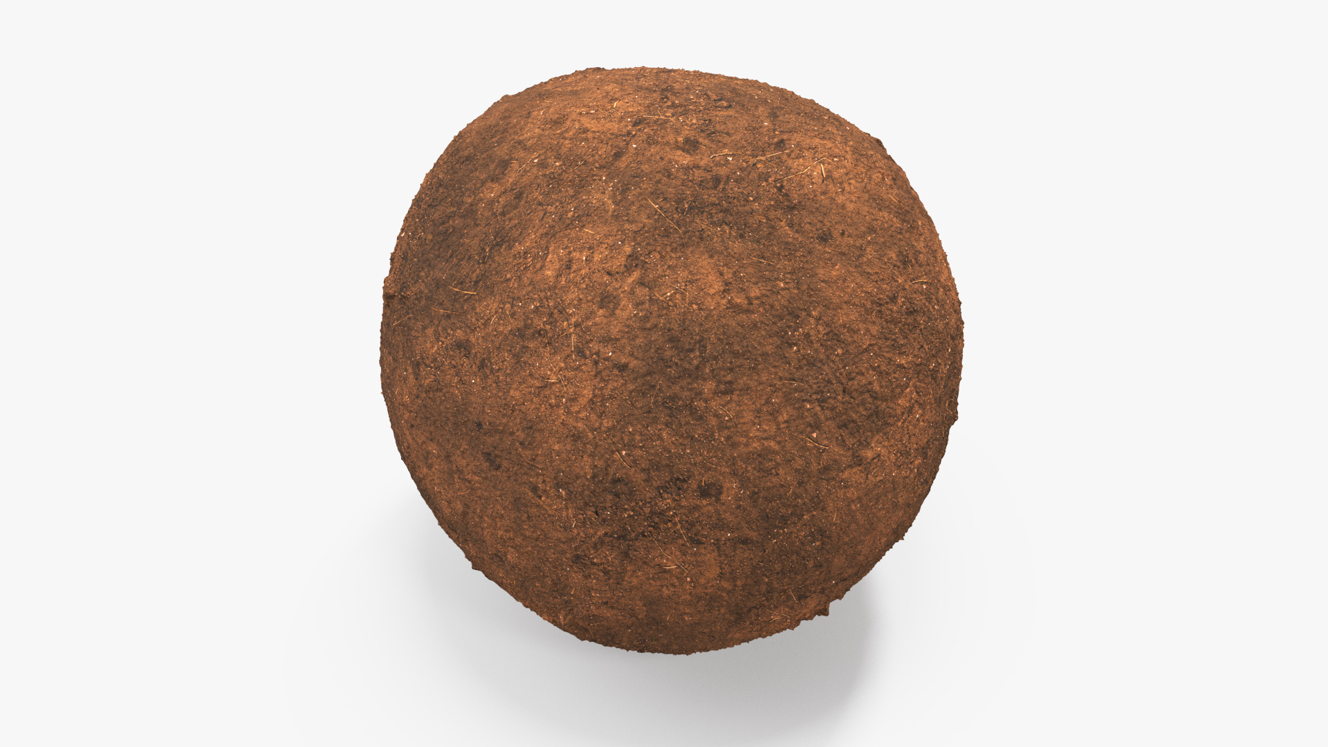 Mud Beetle Pushing Sphere Fur 3D model