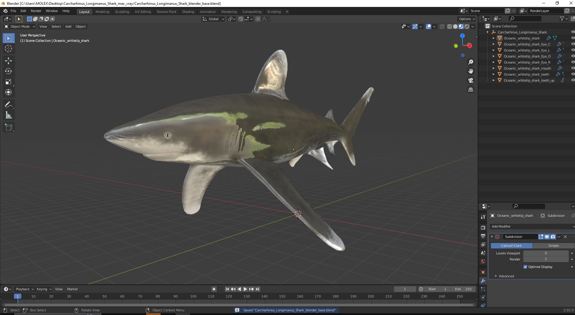 Carcharhinus Longimanus Shark 3D model