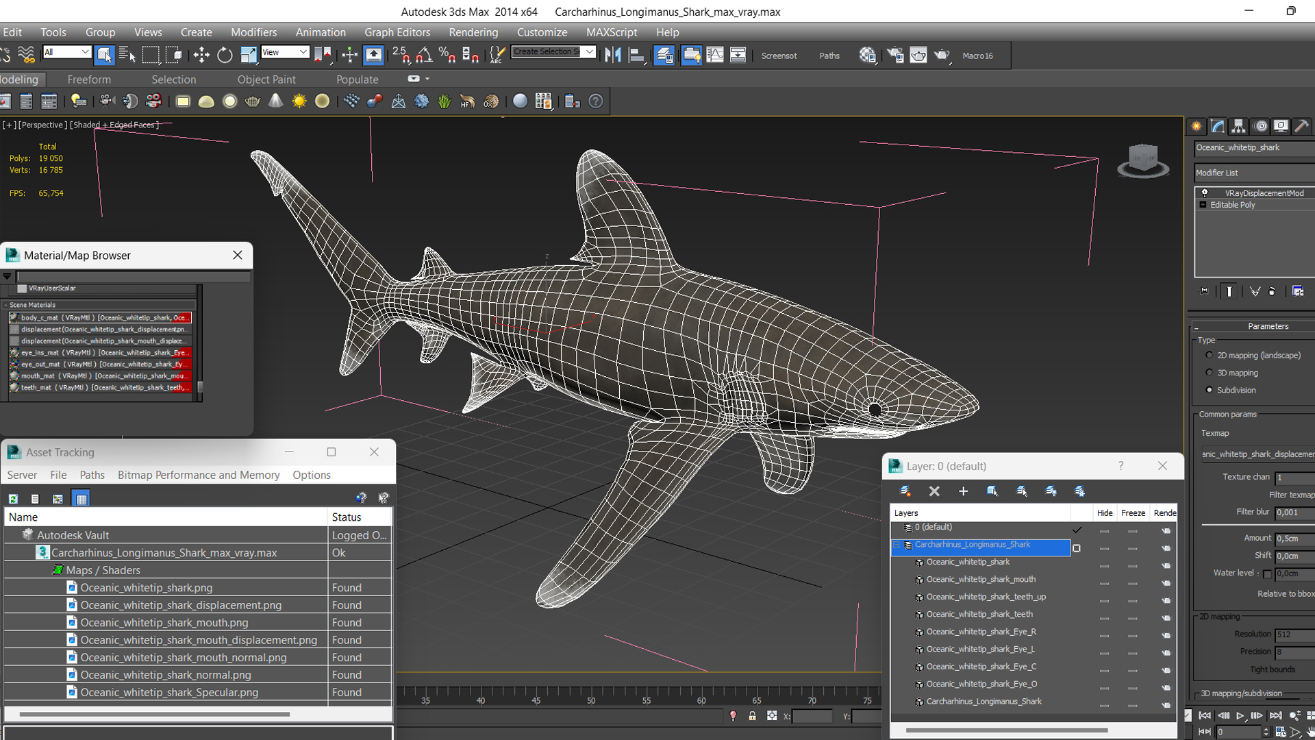 Carcharhinus Longimanus Shark 3D model