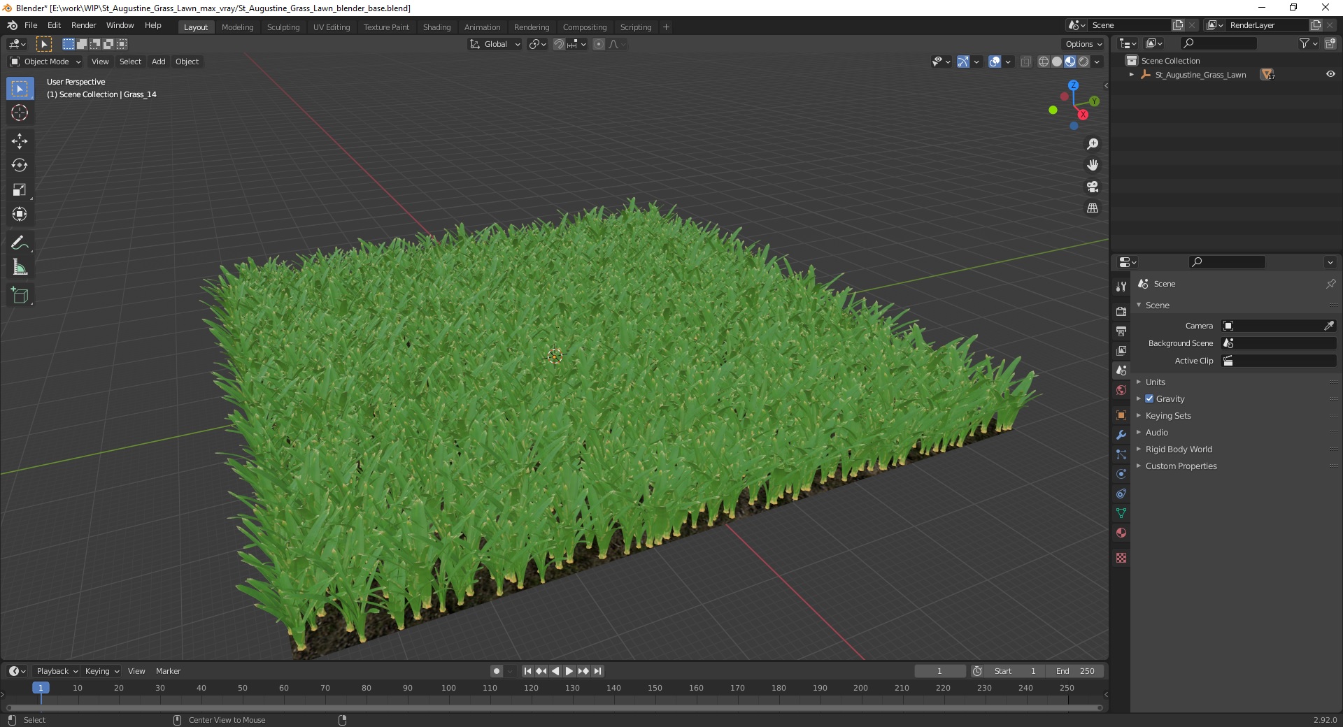 3D St Augustine Grass Lawn model