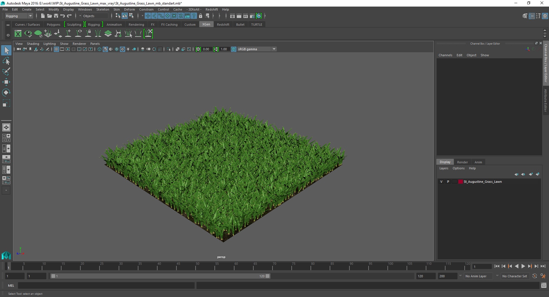 3D St Augustine Grass Lawn model