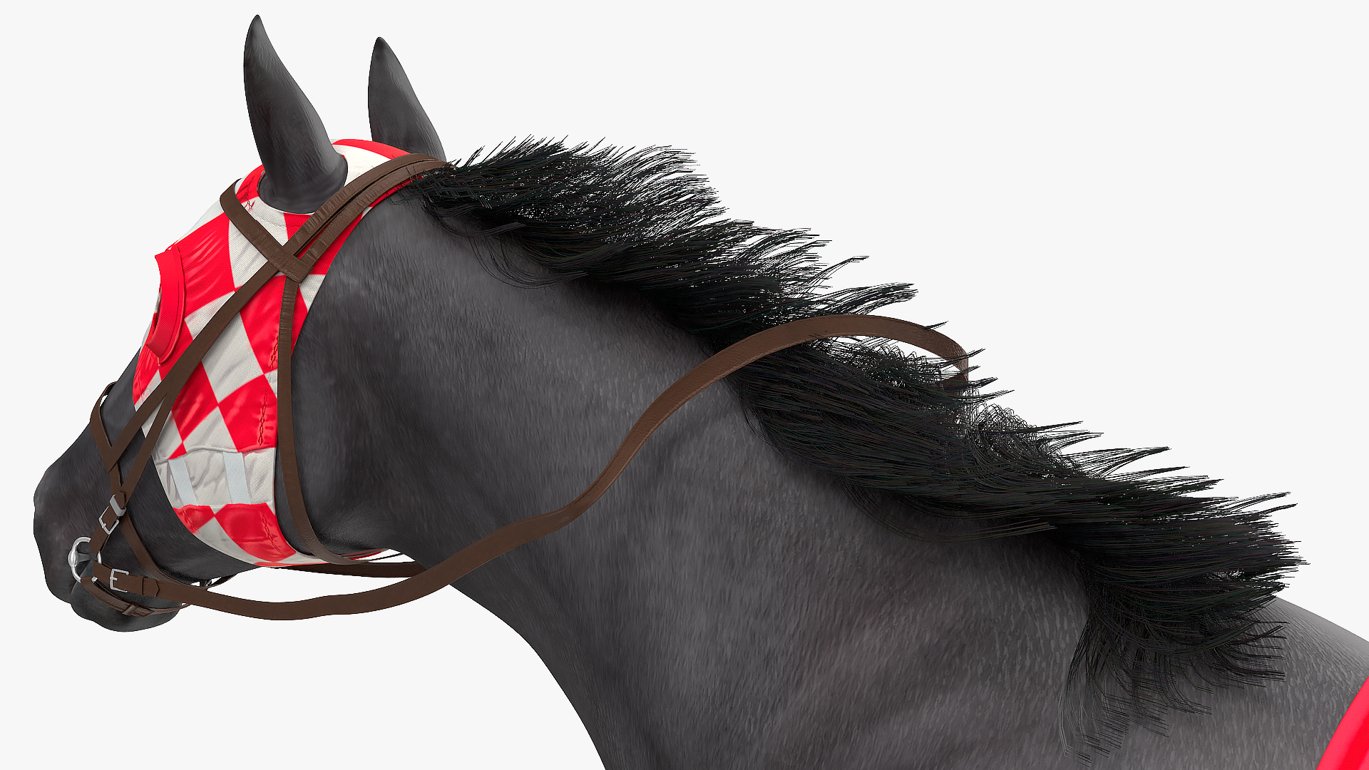 Running Racing Horse Fur 3D model