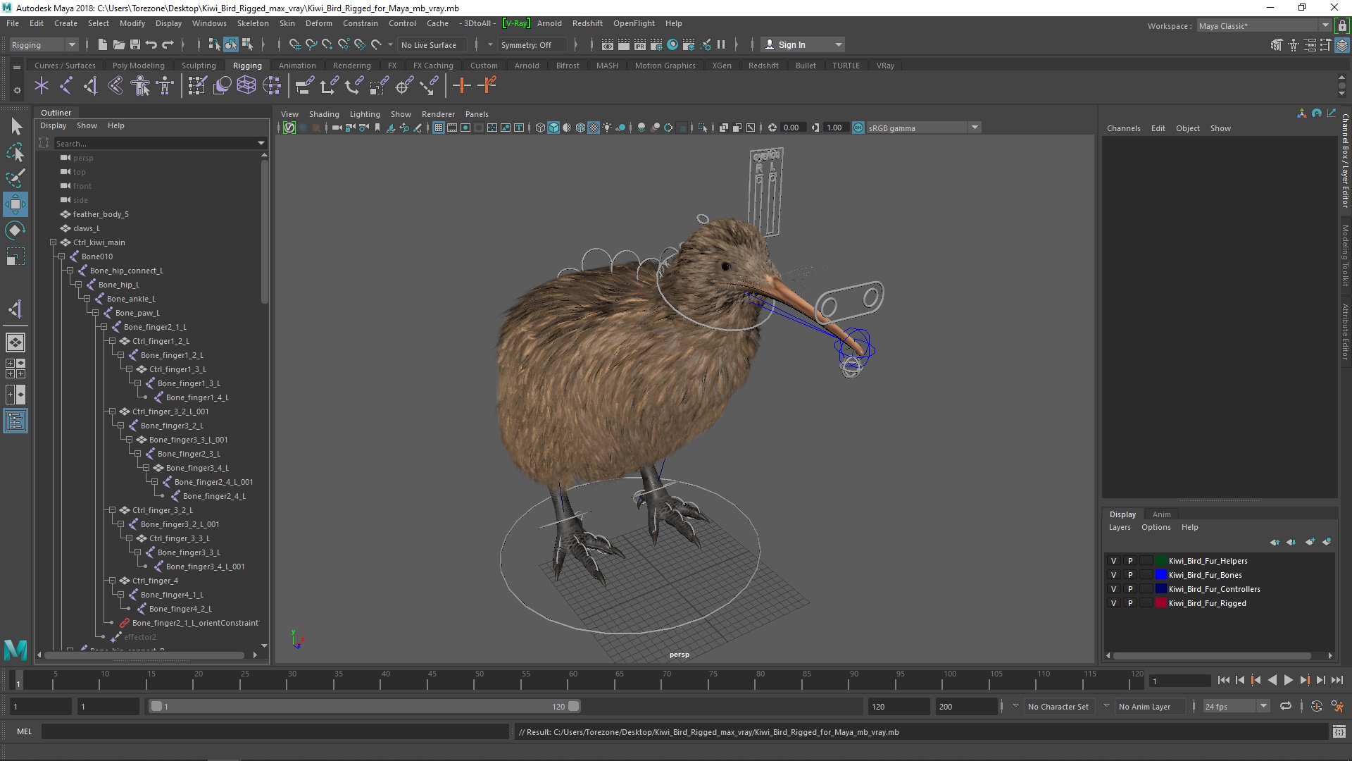 3D model Kiwi Bird Rigged for Maya