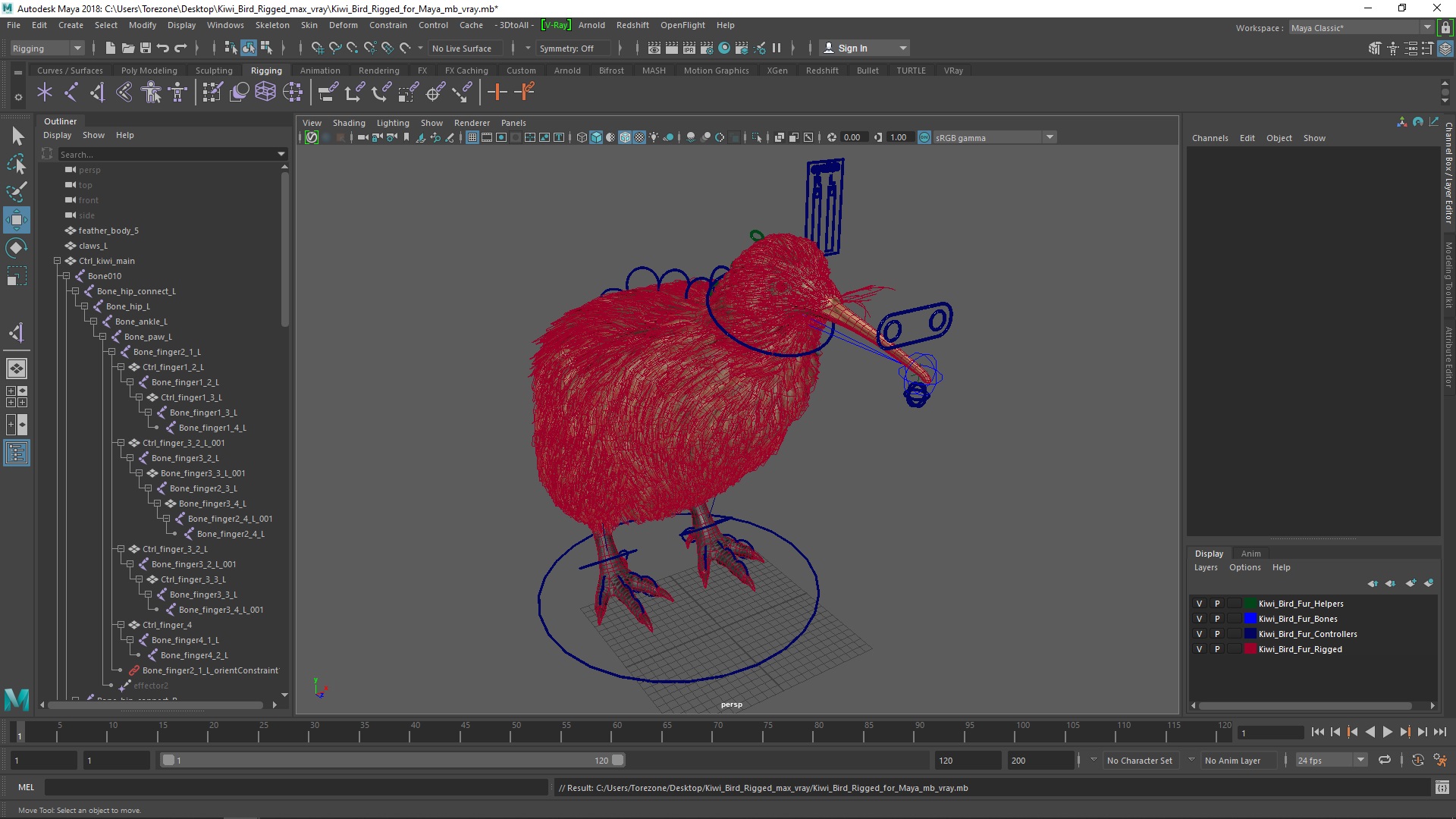 3D model Kiwi Bird Rigged for Maya